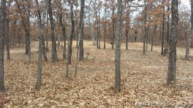 19682 S 145th Street Property Photo 28