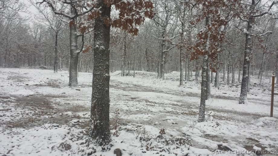 19682 S 145th Street Property Photo 29