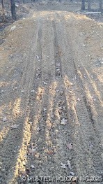 19682 S 145th Street Property Photo 30