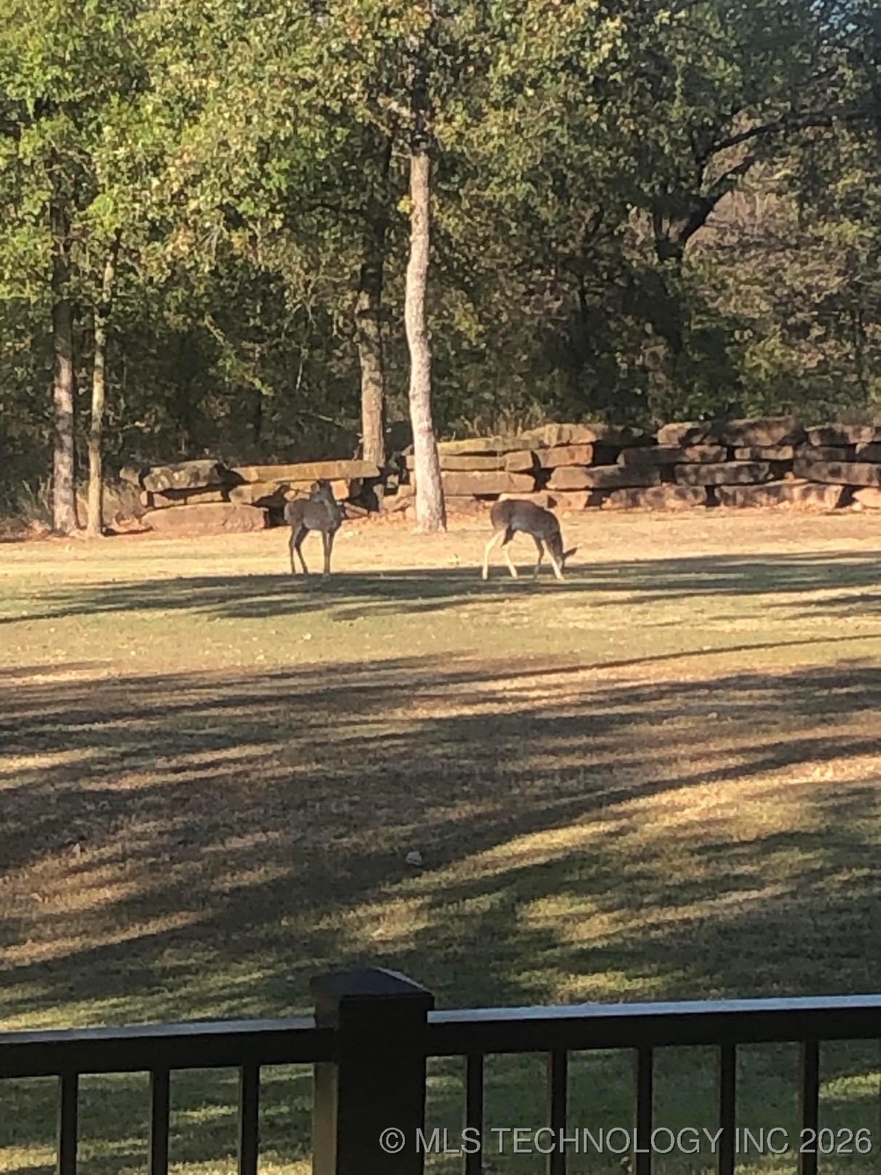 19682 S 145th Street Property Photo 37