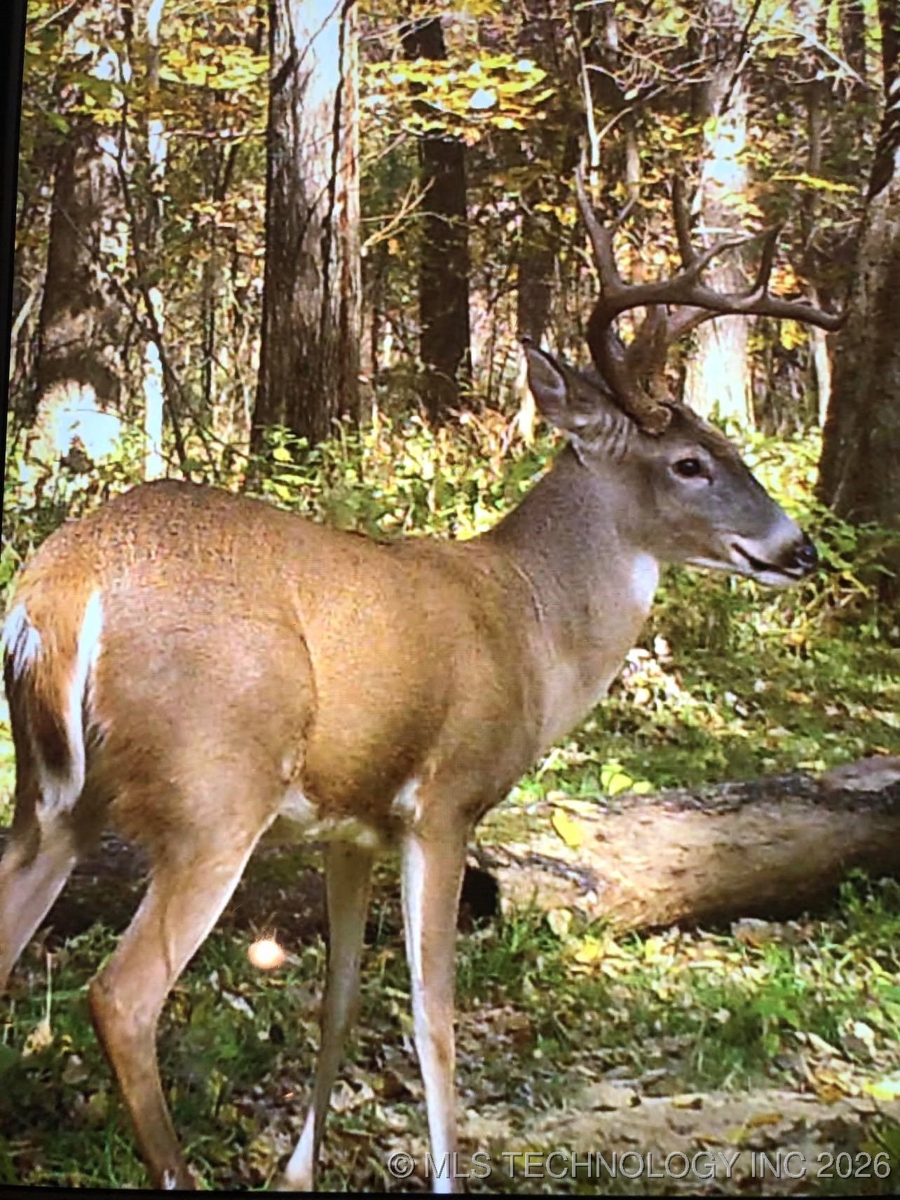 19682 S 145th Street Property Photo 38
