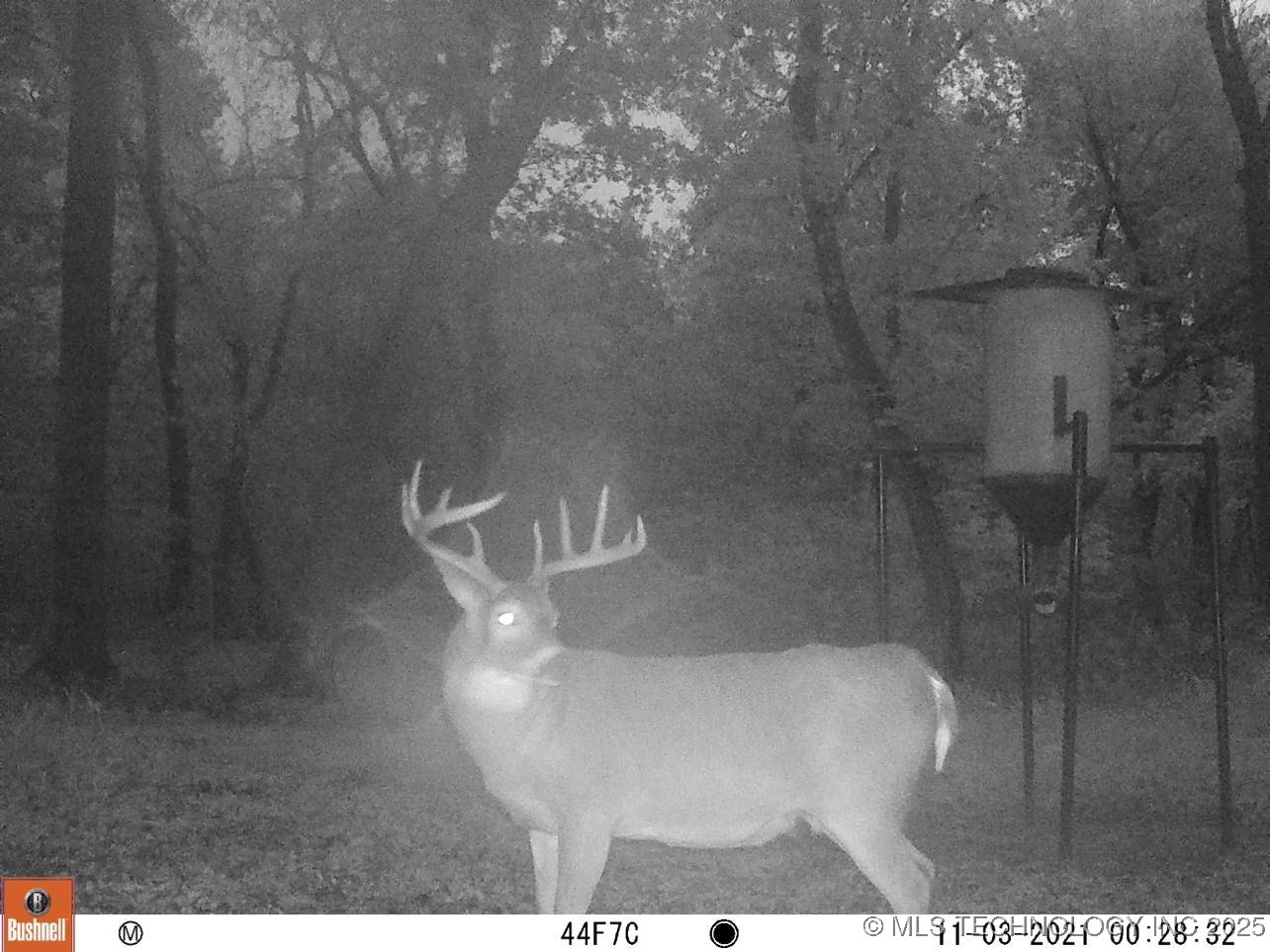 19682 S 145th Street Property Photo 39