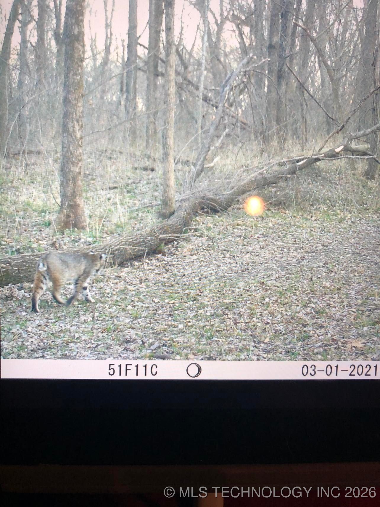 19682 S 145th Street Property Photo 40