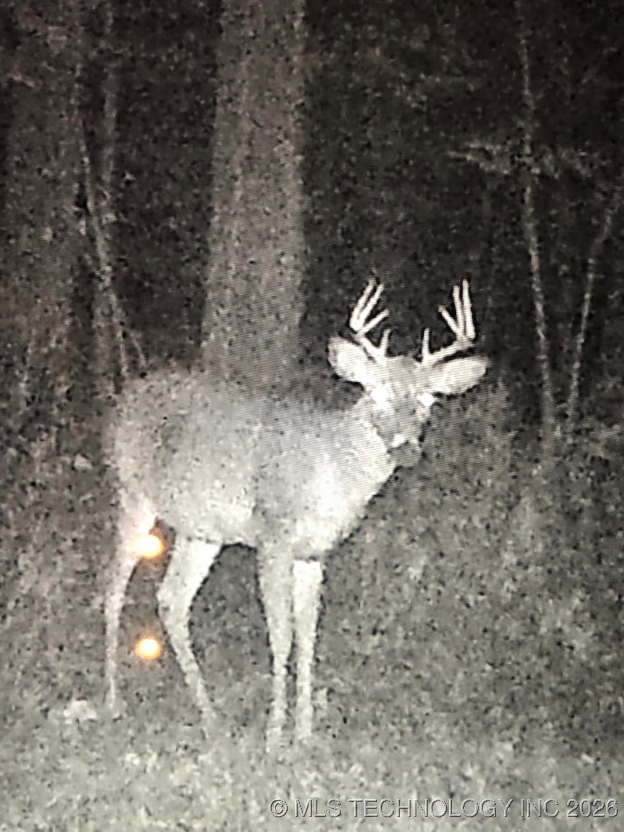 19682 S 145th Street Property Photo 41