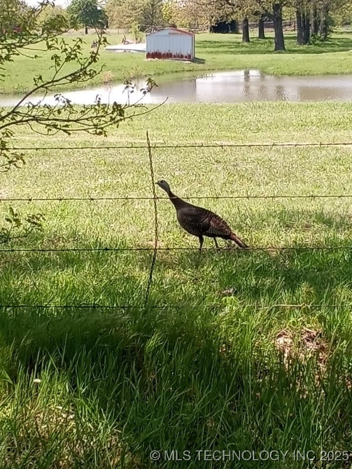 19682 S 145th Street Property Photo 44