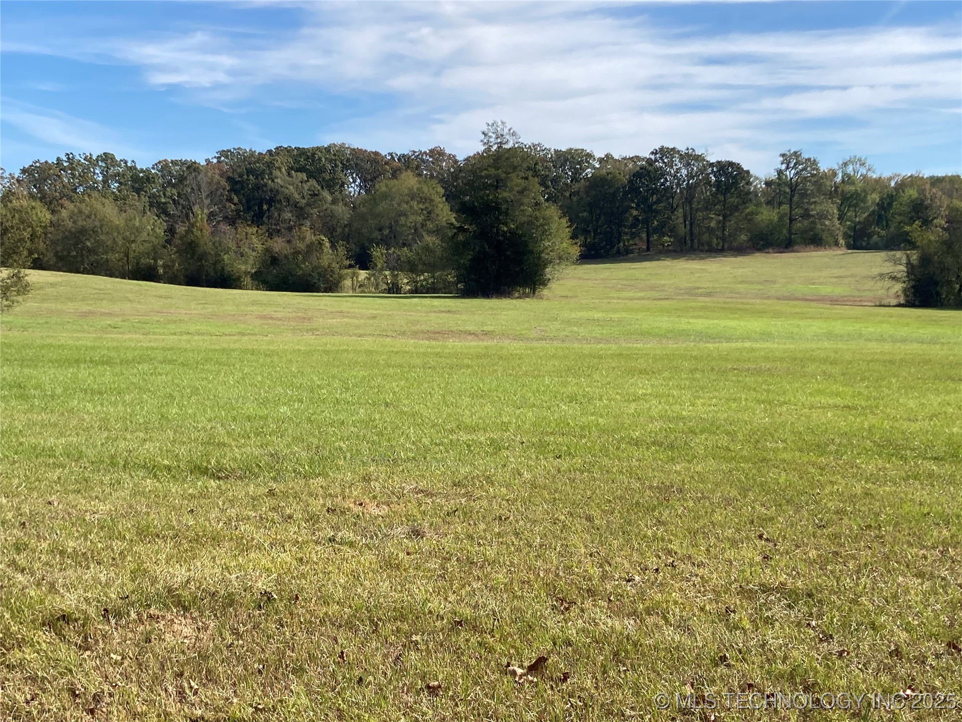 901 Sycamore Loop Property Photo 1