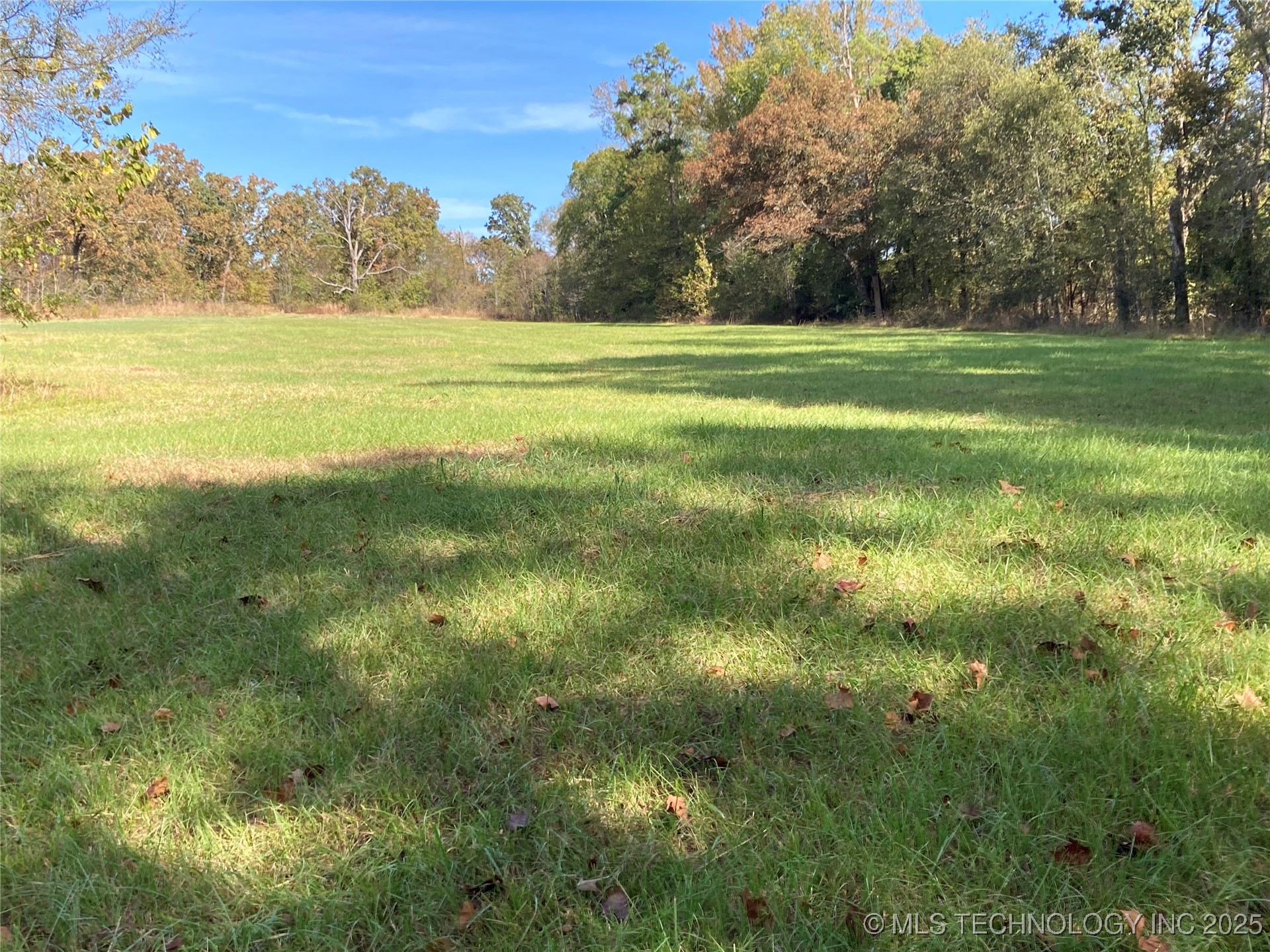 901 Sycamore Loop Property Photo 3