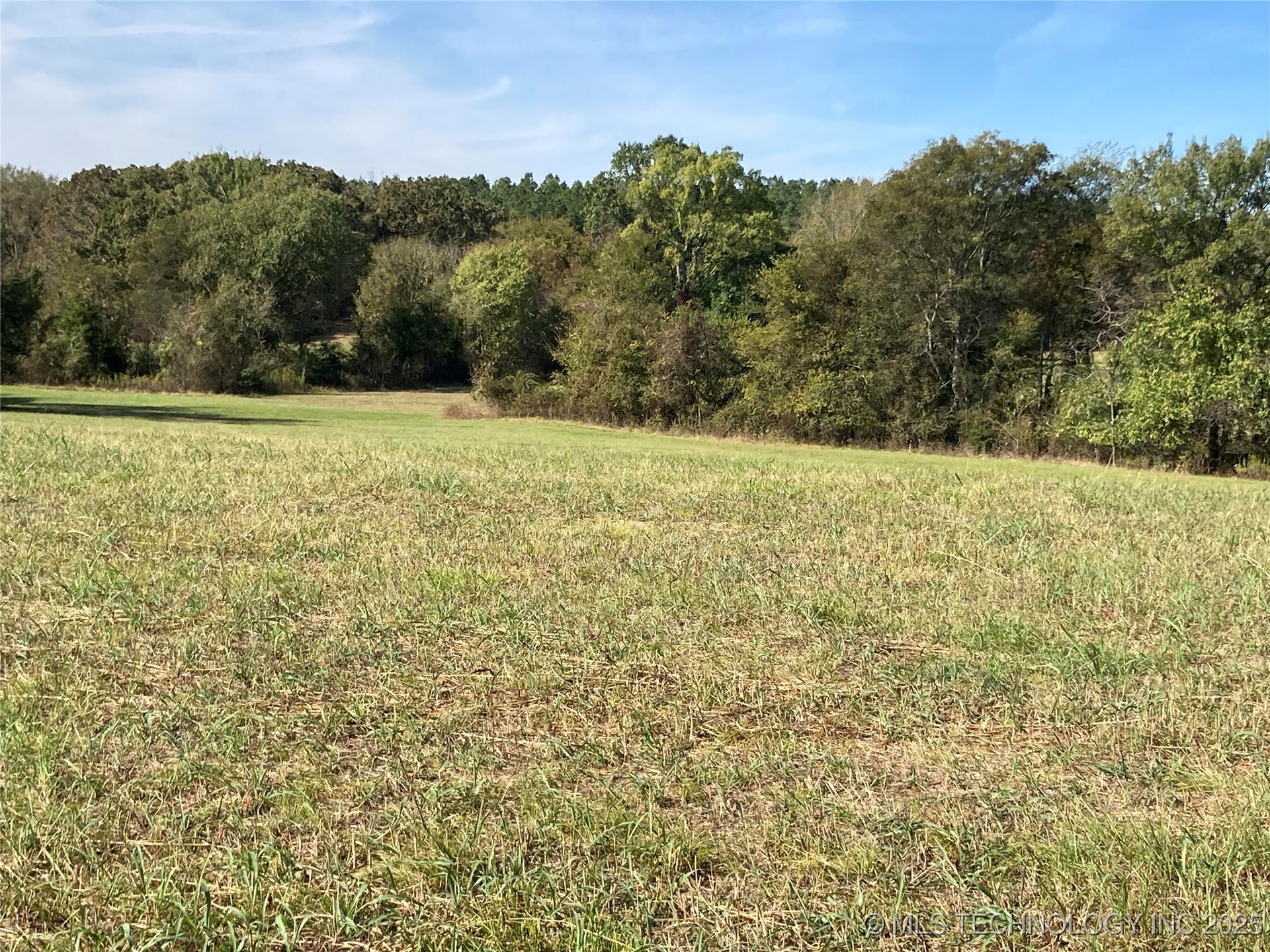 901 Sycamore Loop Property Photo 4