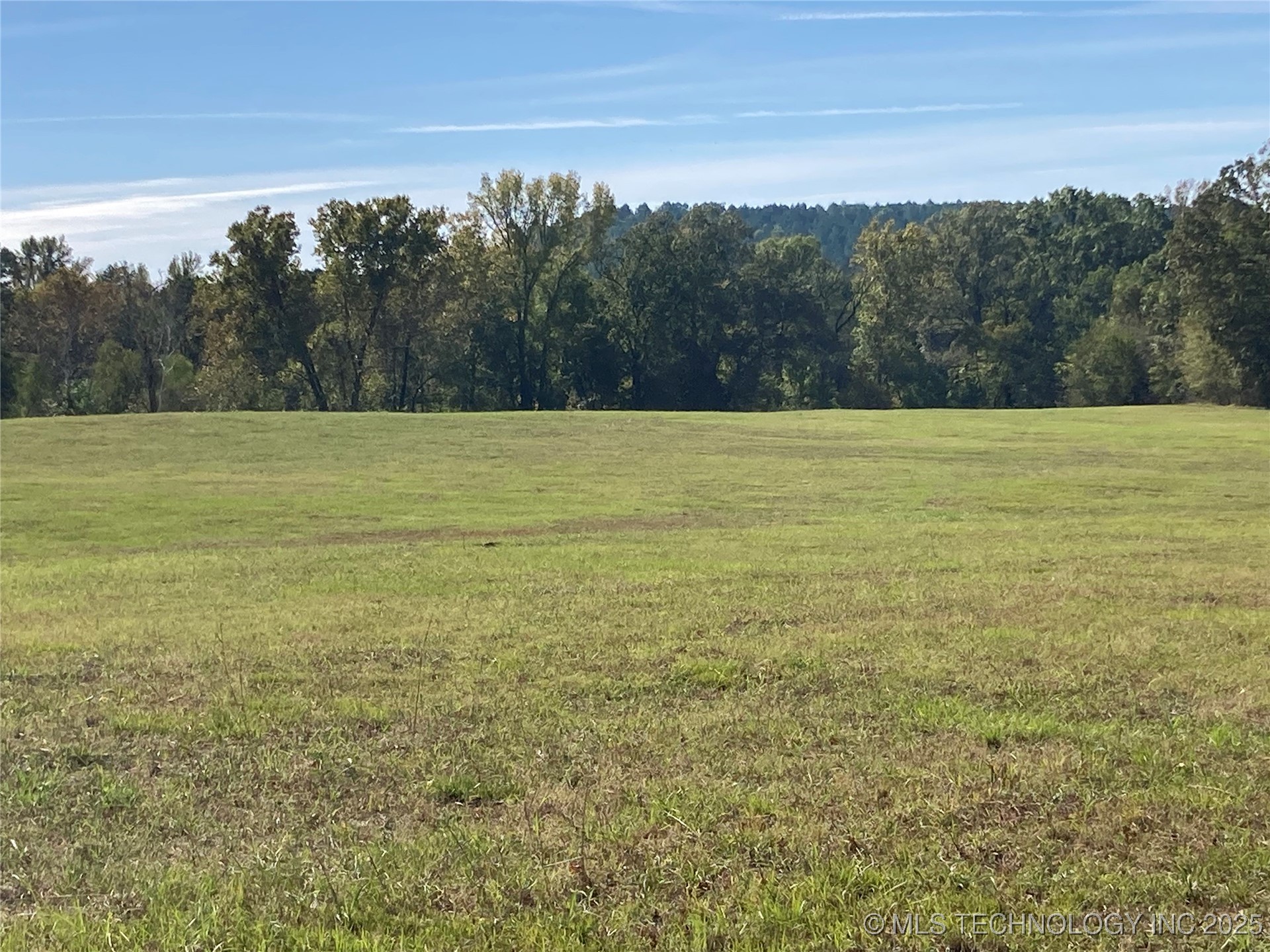 901 Sycamore Loop Property Photo 5