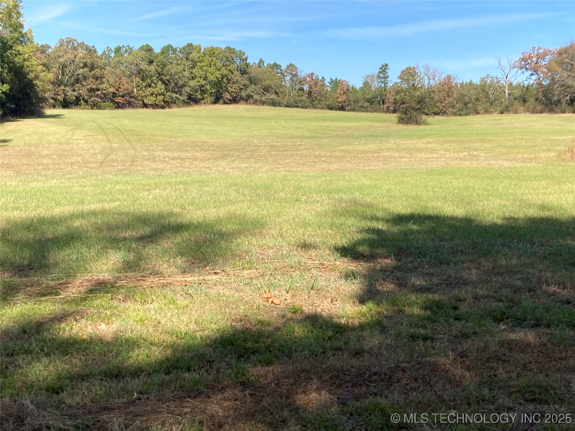 901 Sycamore Loop Property Photo 7