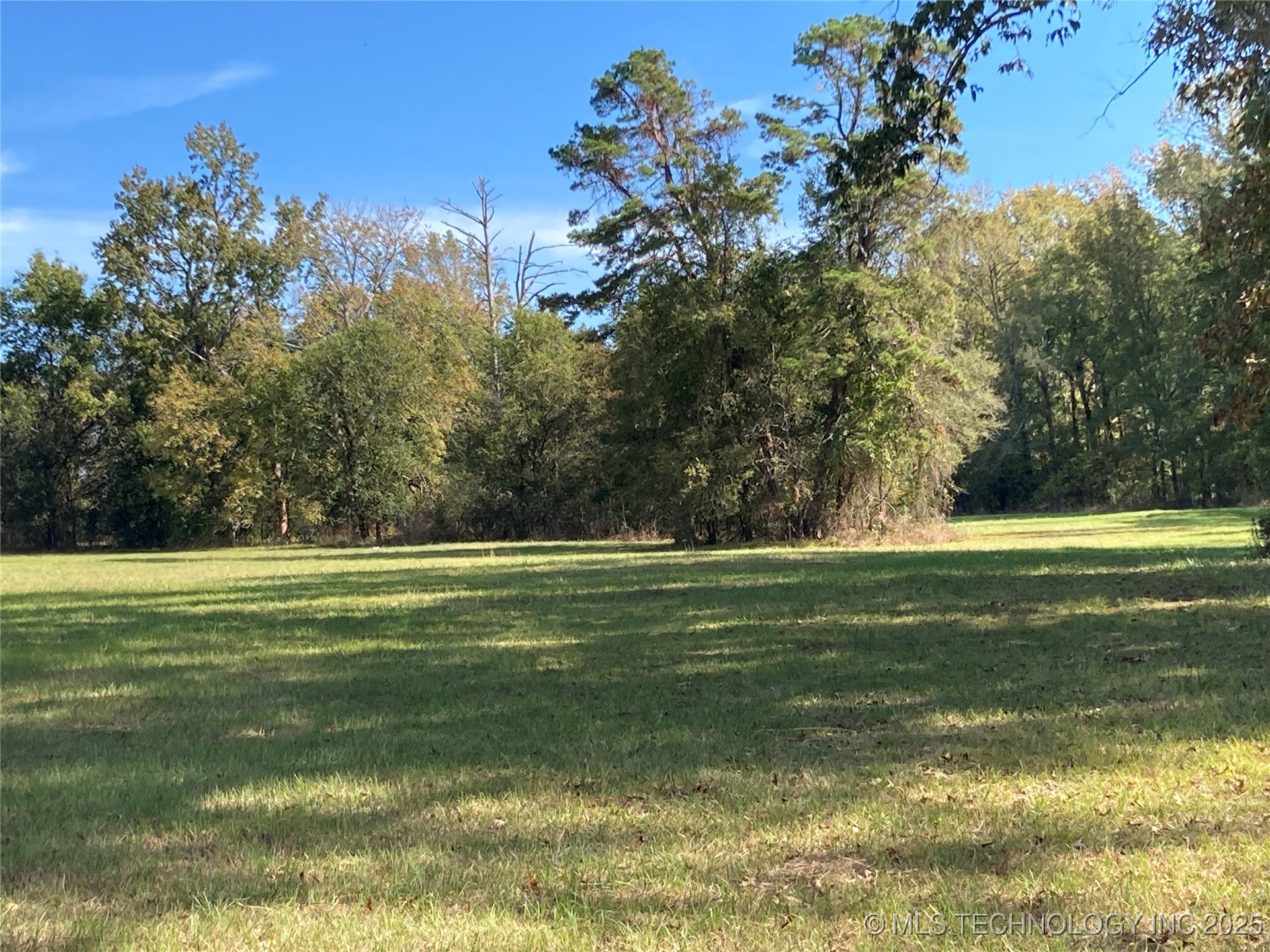 901 Sycamore Loop Property Photo 9