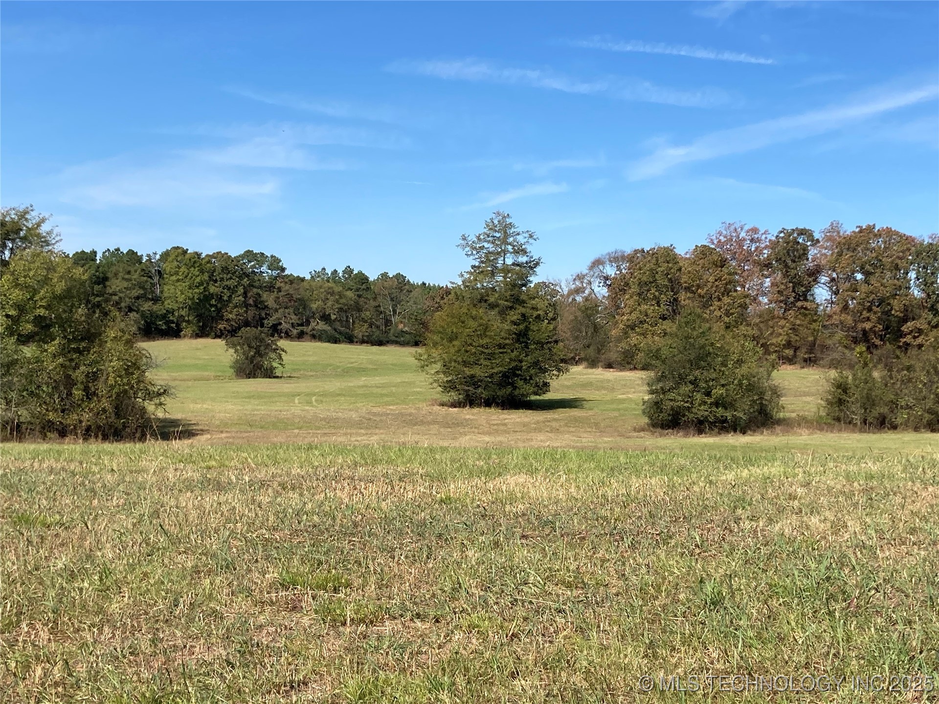 901 Sycamore Loop Property Photo 12