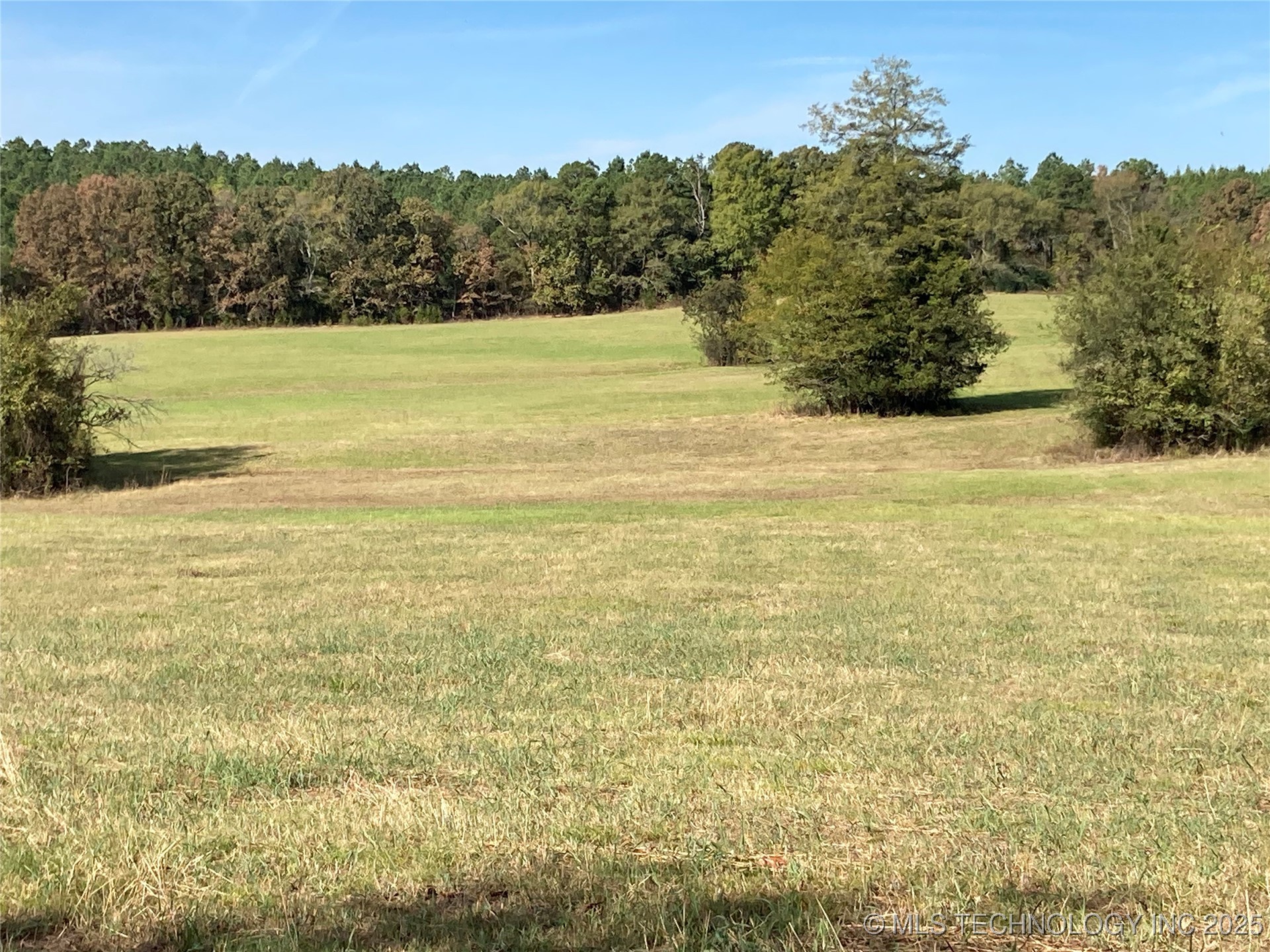 901 Sycamore Loop Property Photo 14