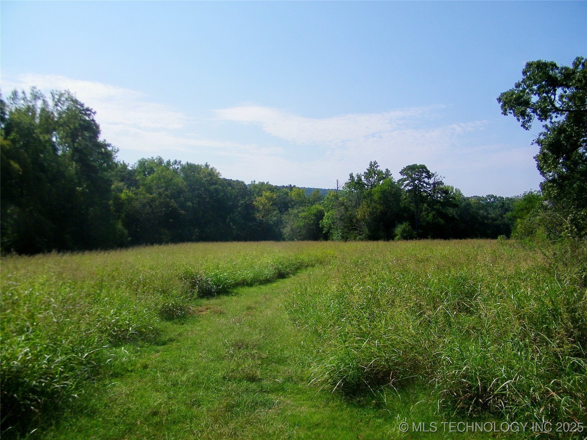 901 Sycamore Loop Property Photo 16