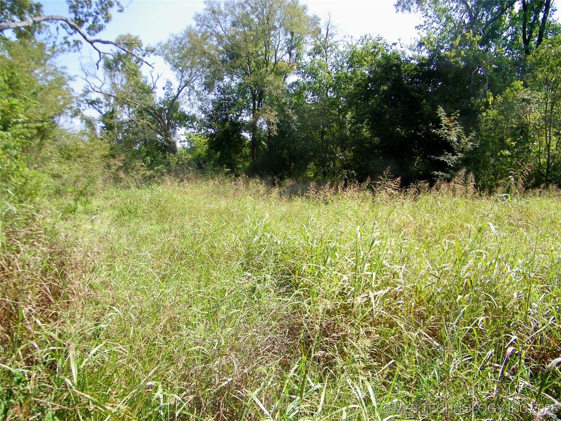 901 Sycamore Loop Property Photo 18