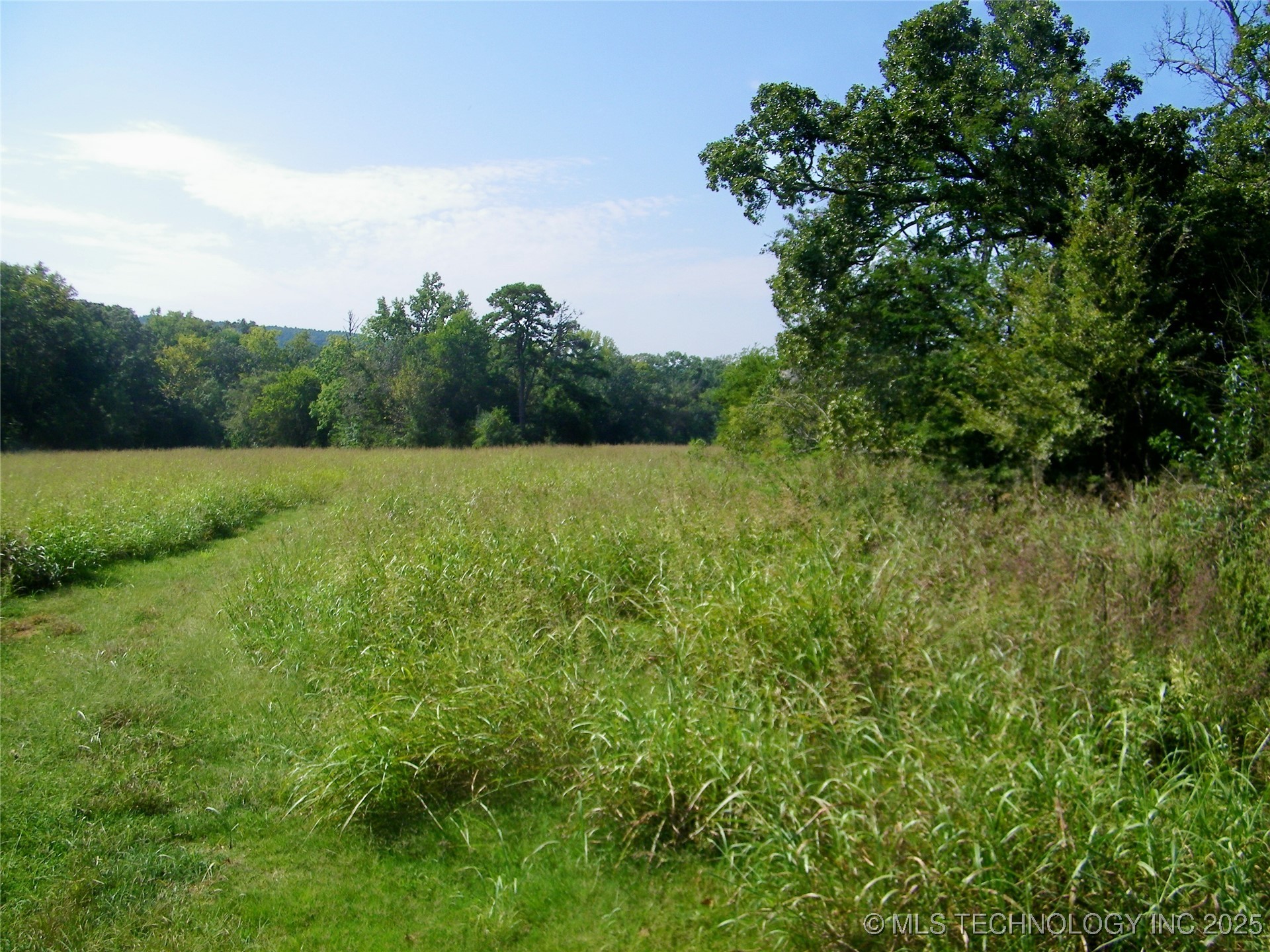 901 Sycamore Loop Property Photo 19