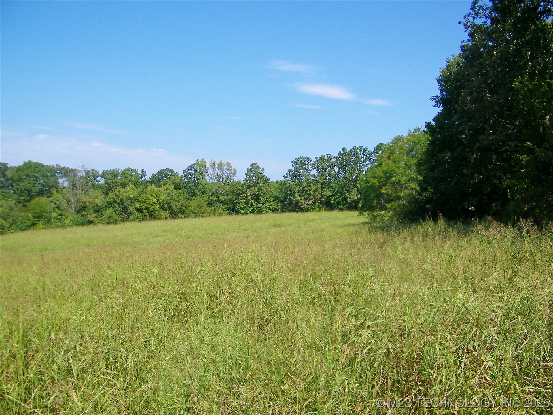 901 Sycamore Loop Property Photo 20