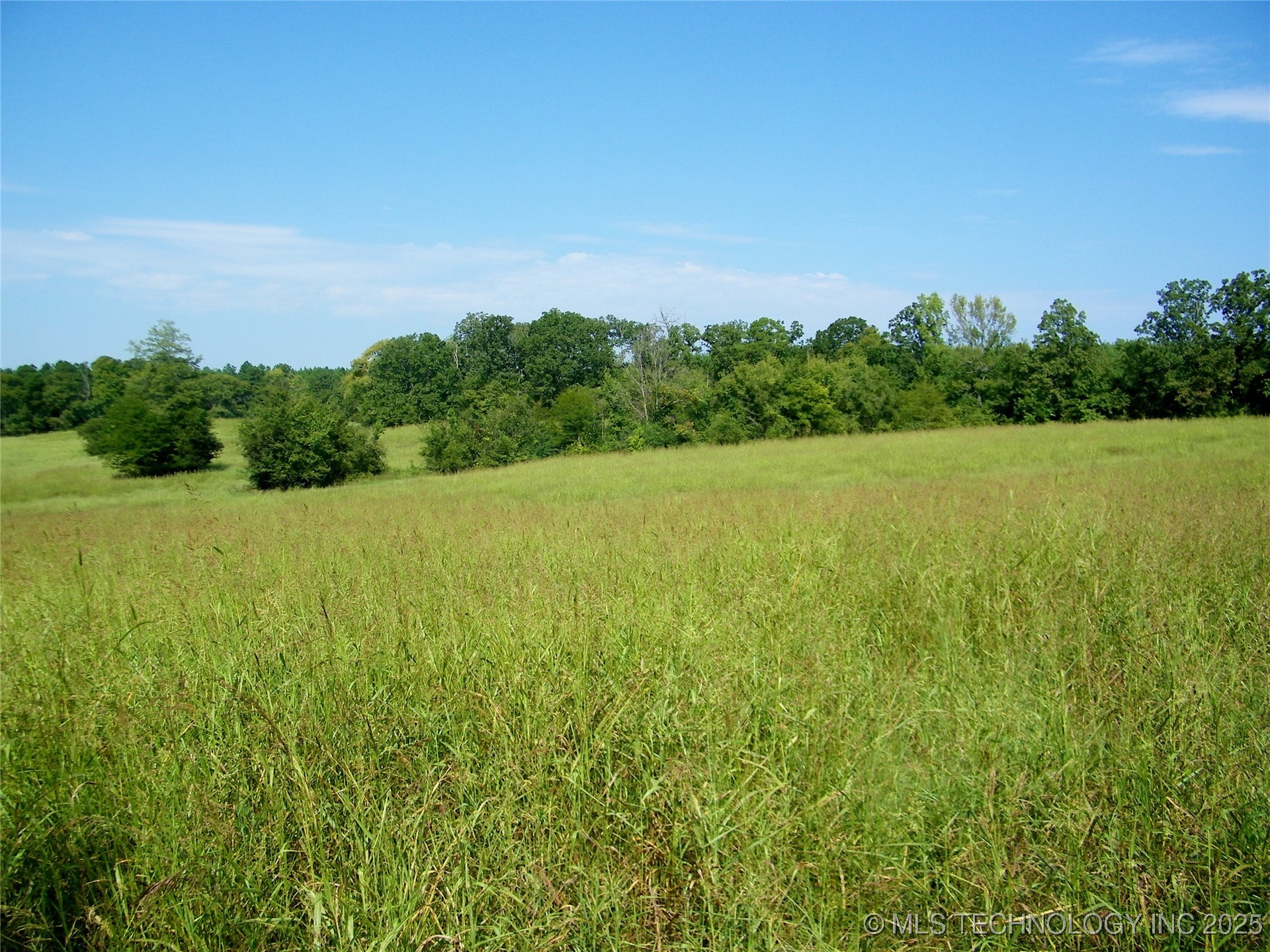 901 Sycamore Loop Property Photo 21