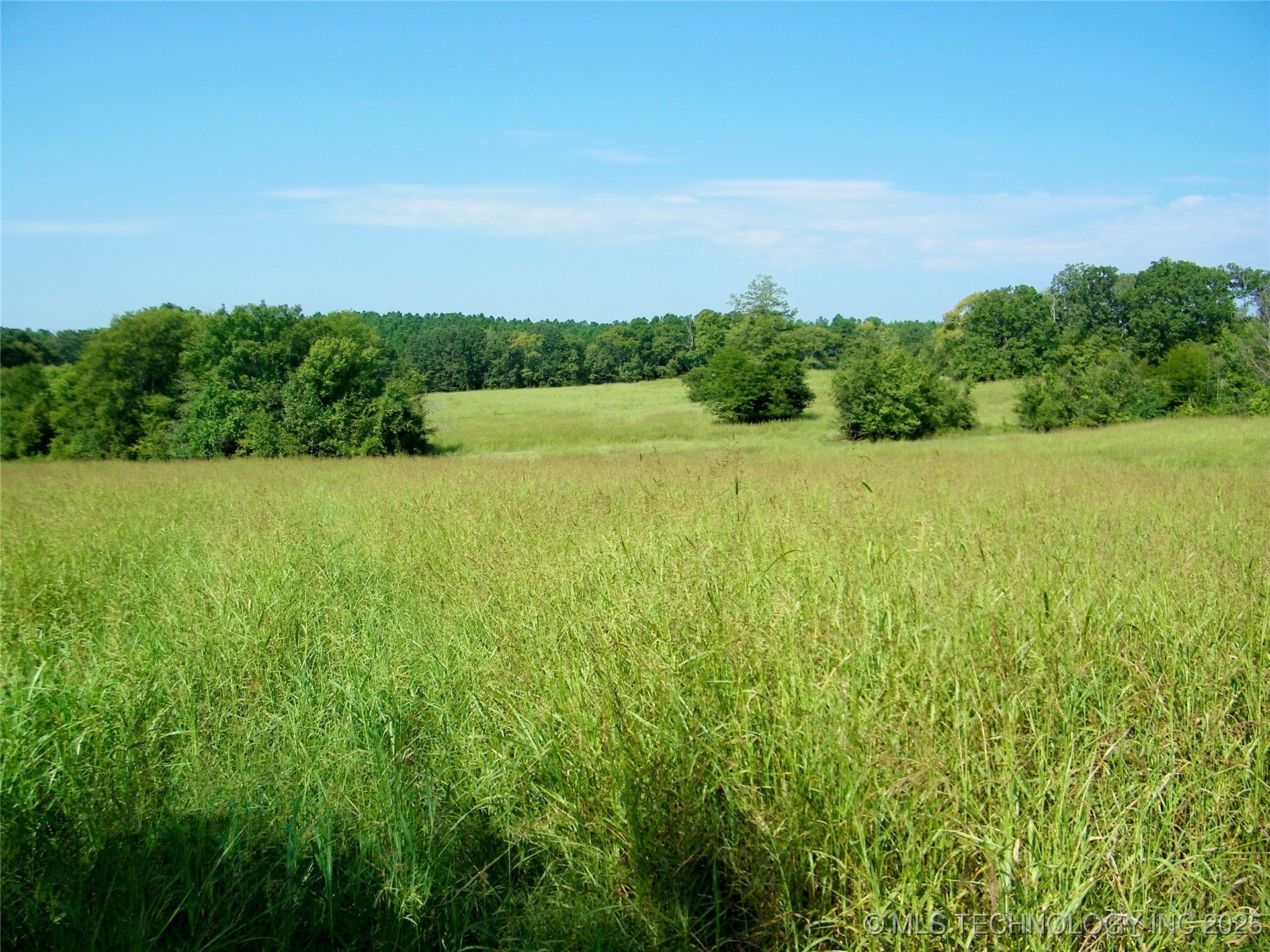 901 Sycamore Loop Property Photo 22