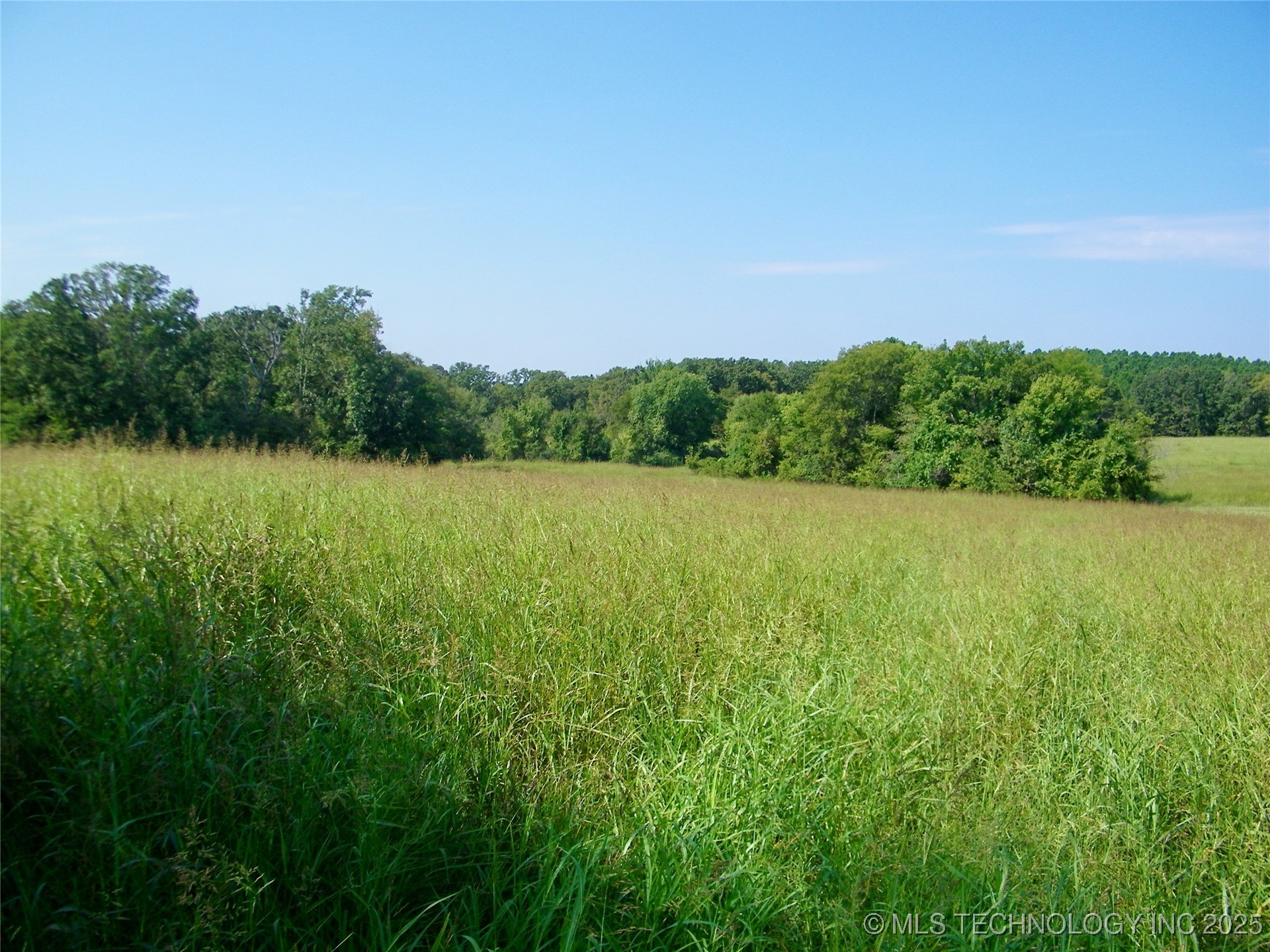 901 Sycamore Loop Property Photo 23