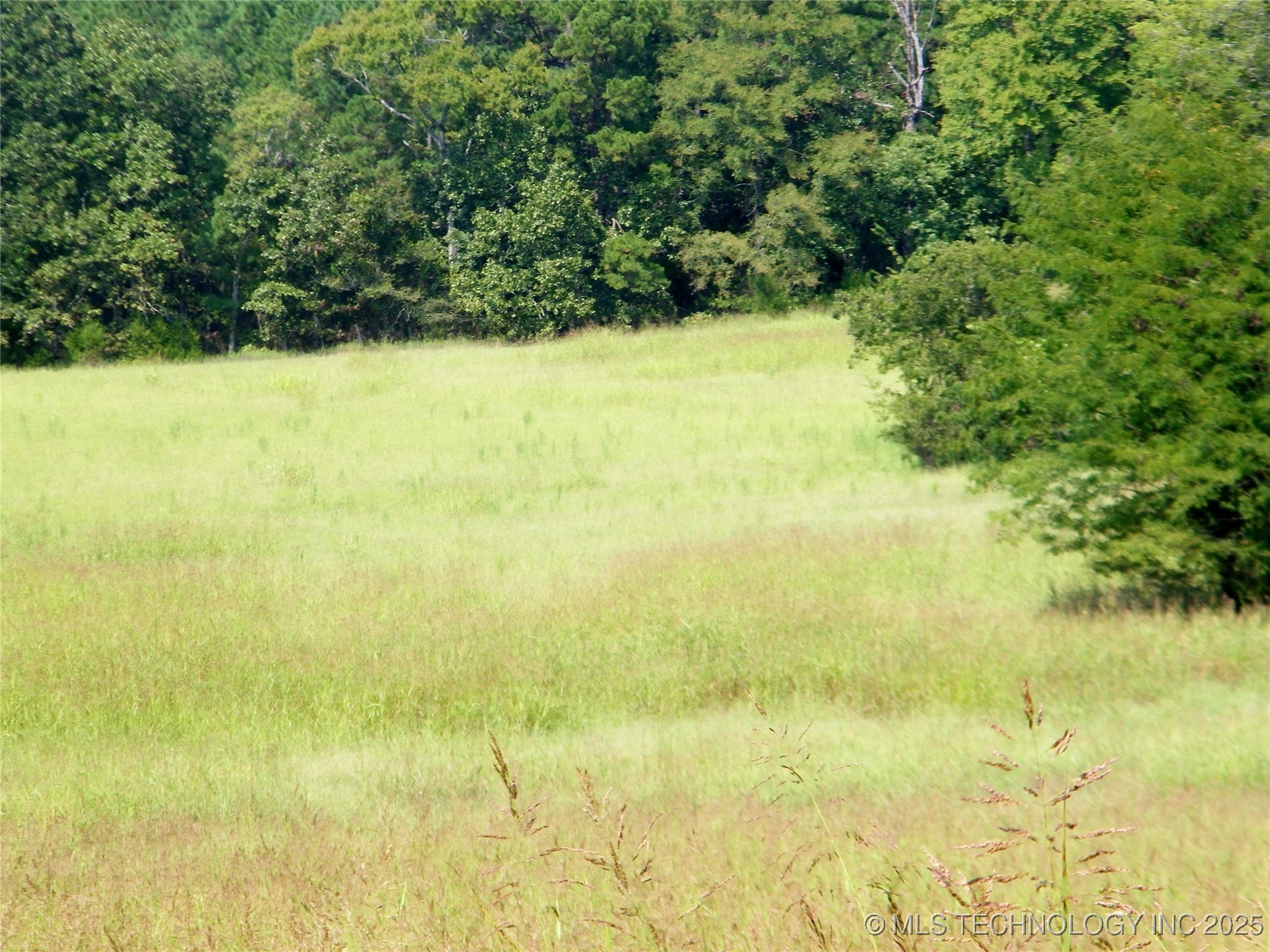 901 Sycamore Loop Property Photo 24