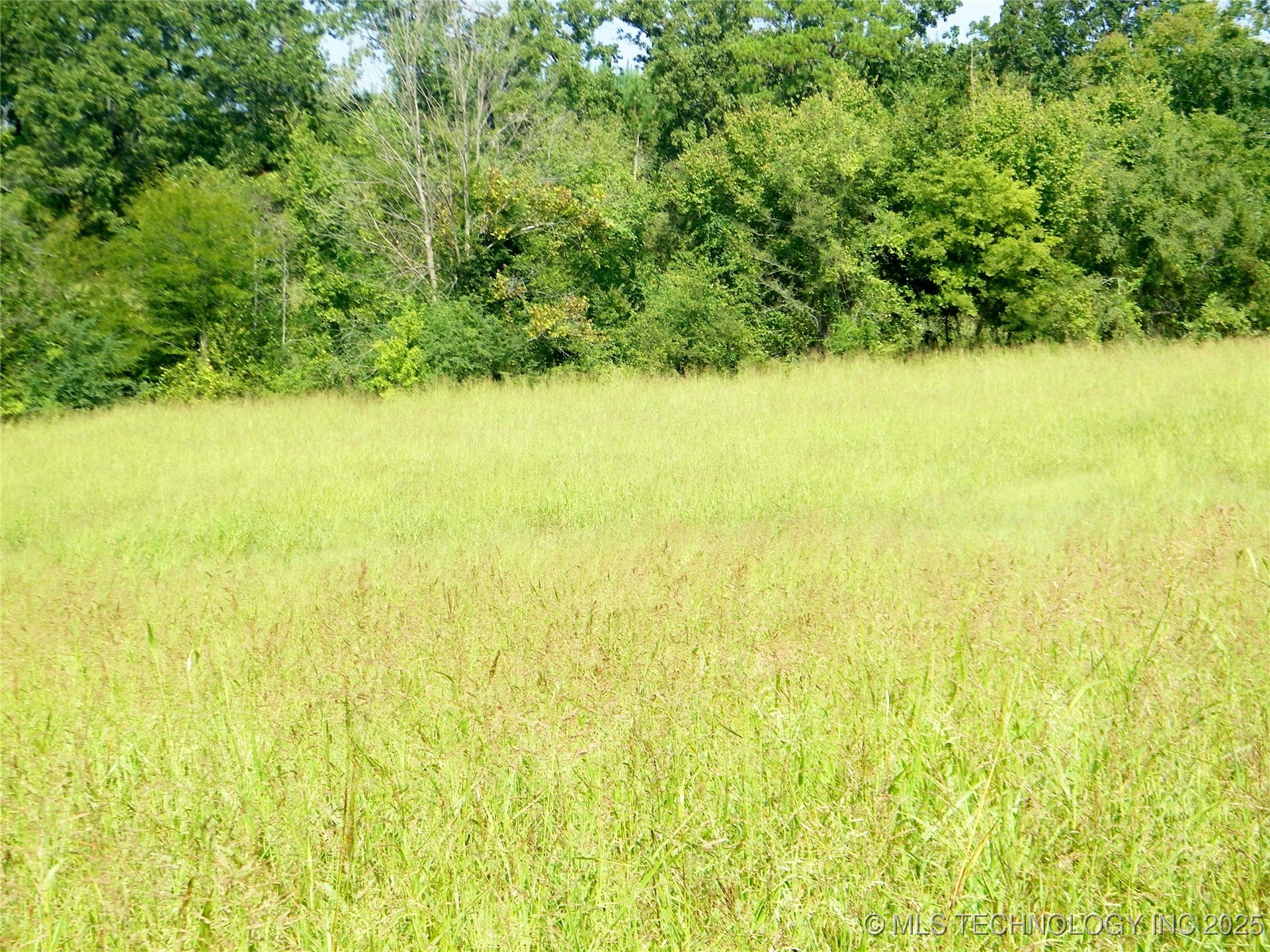 901 Sycamore Loop Property Photo 25