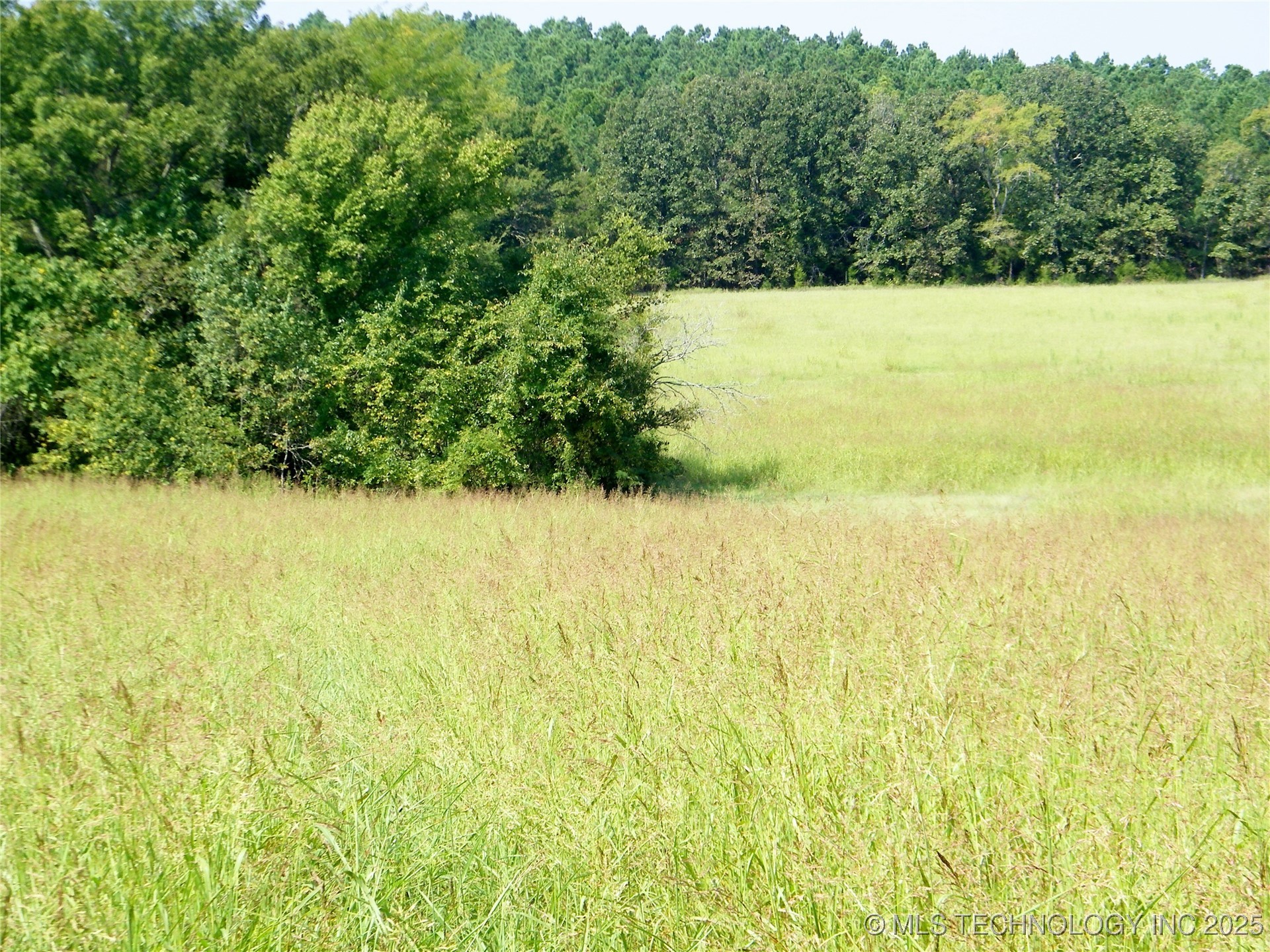 901 Sycamore Loop Property Photo 26