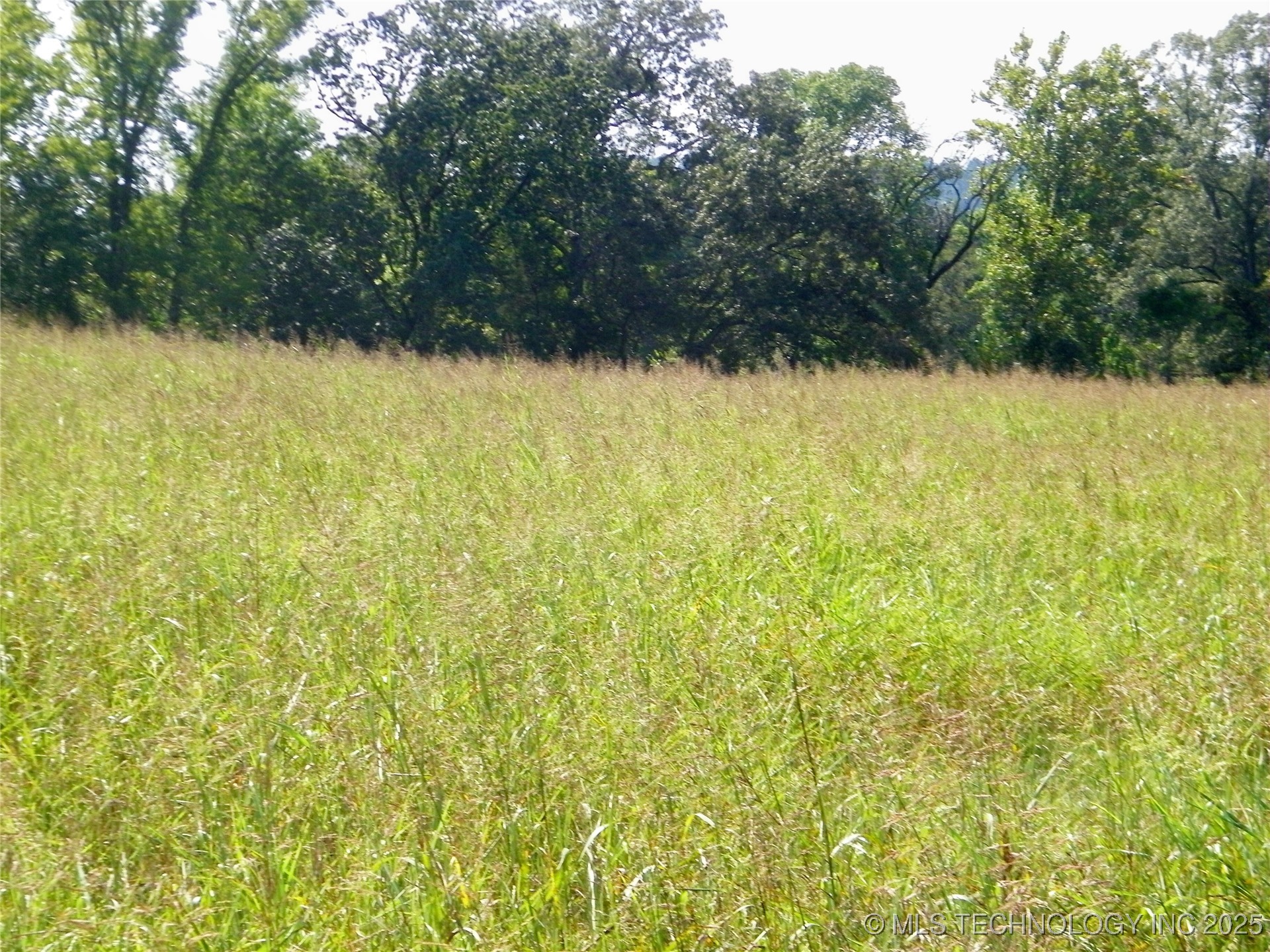 901 Sycamore Loop Property Photo 27