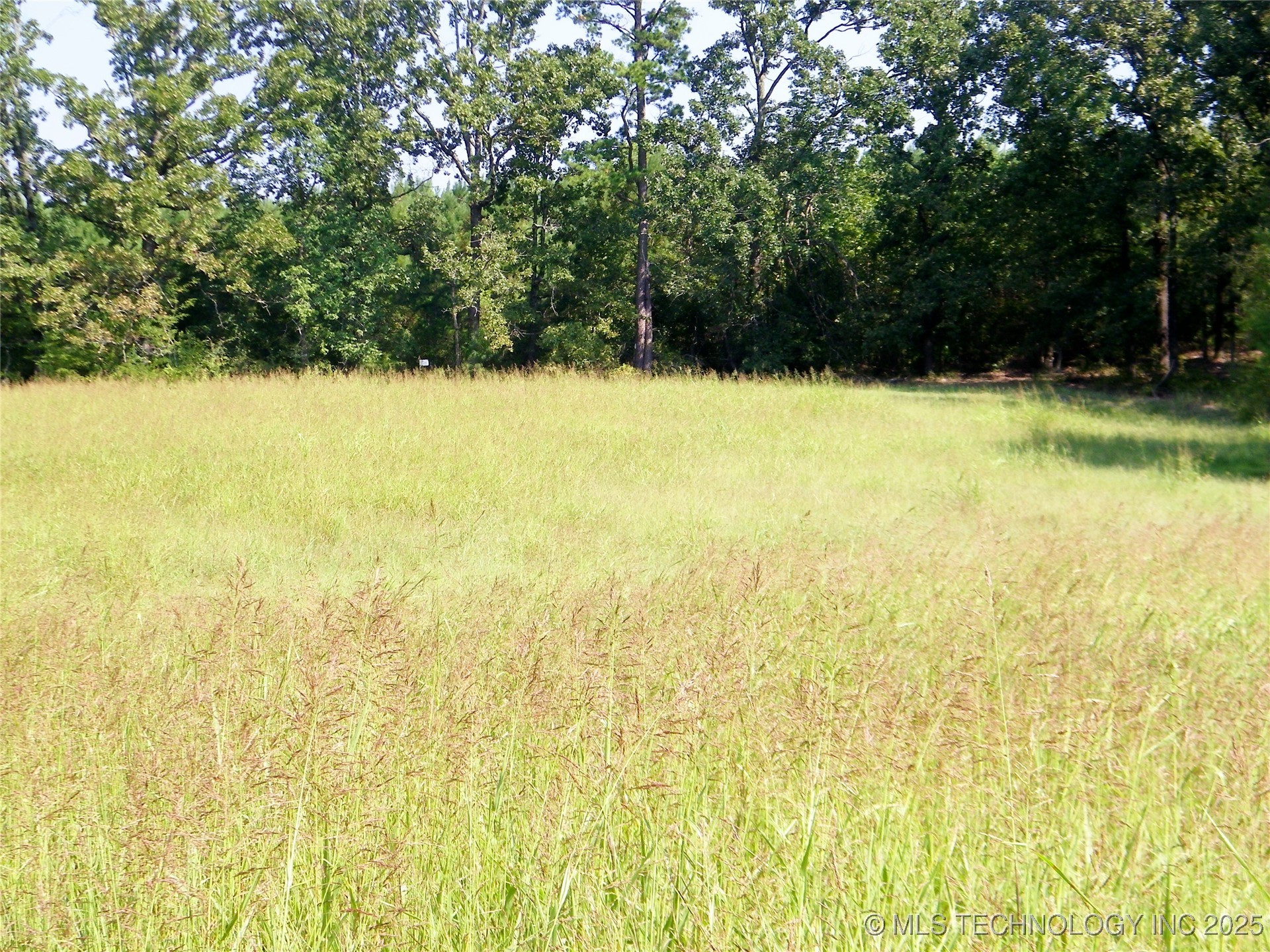 901 Sycamore Loop Property Photo 28