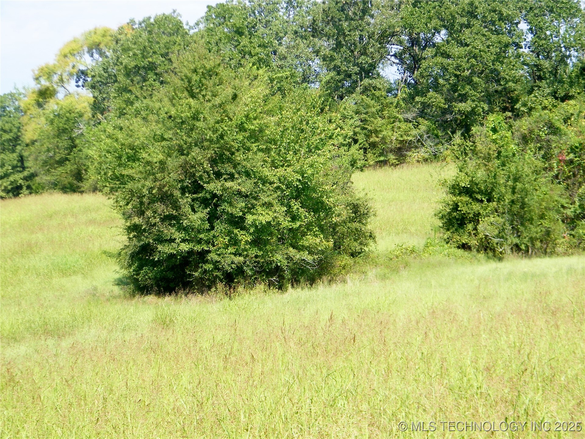 901 Sycamore Loop Property Photo 29