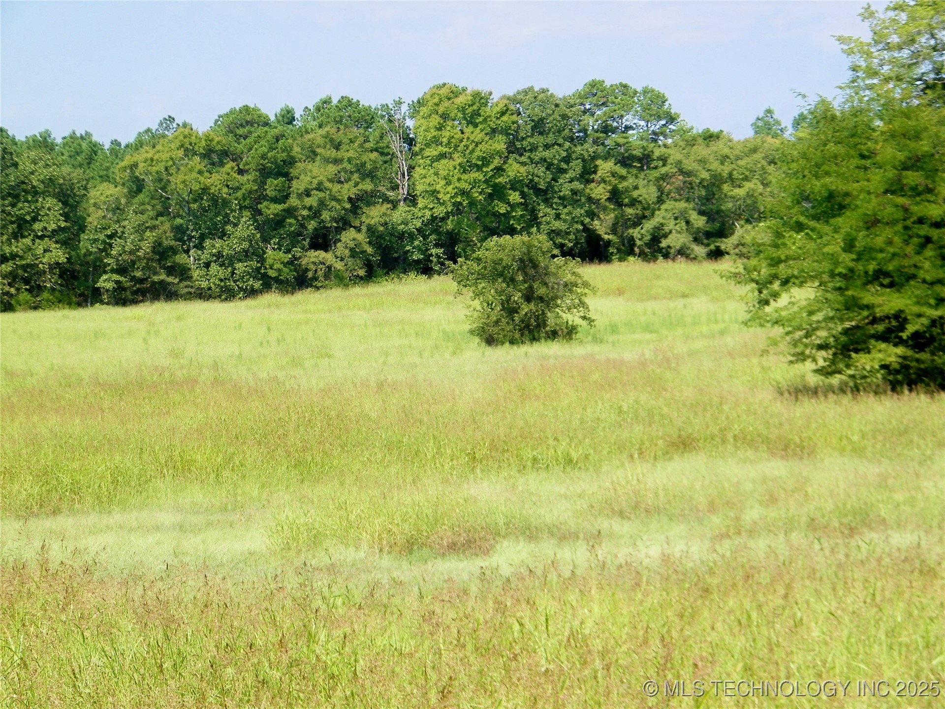 901 Sycamore Loop Property Photo 30