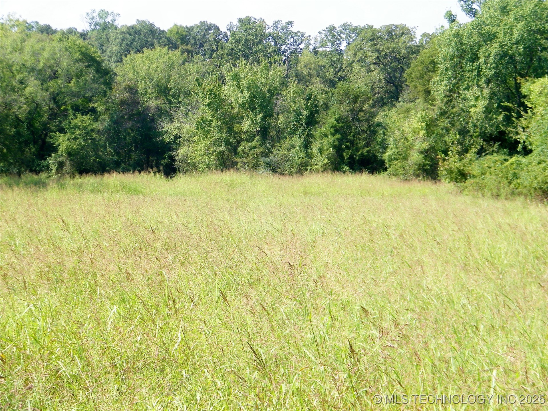 901 Sycamore Loop Property Photo 31