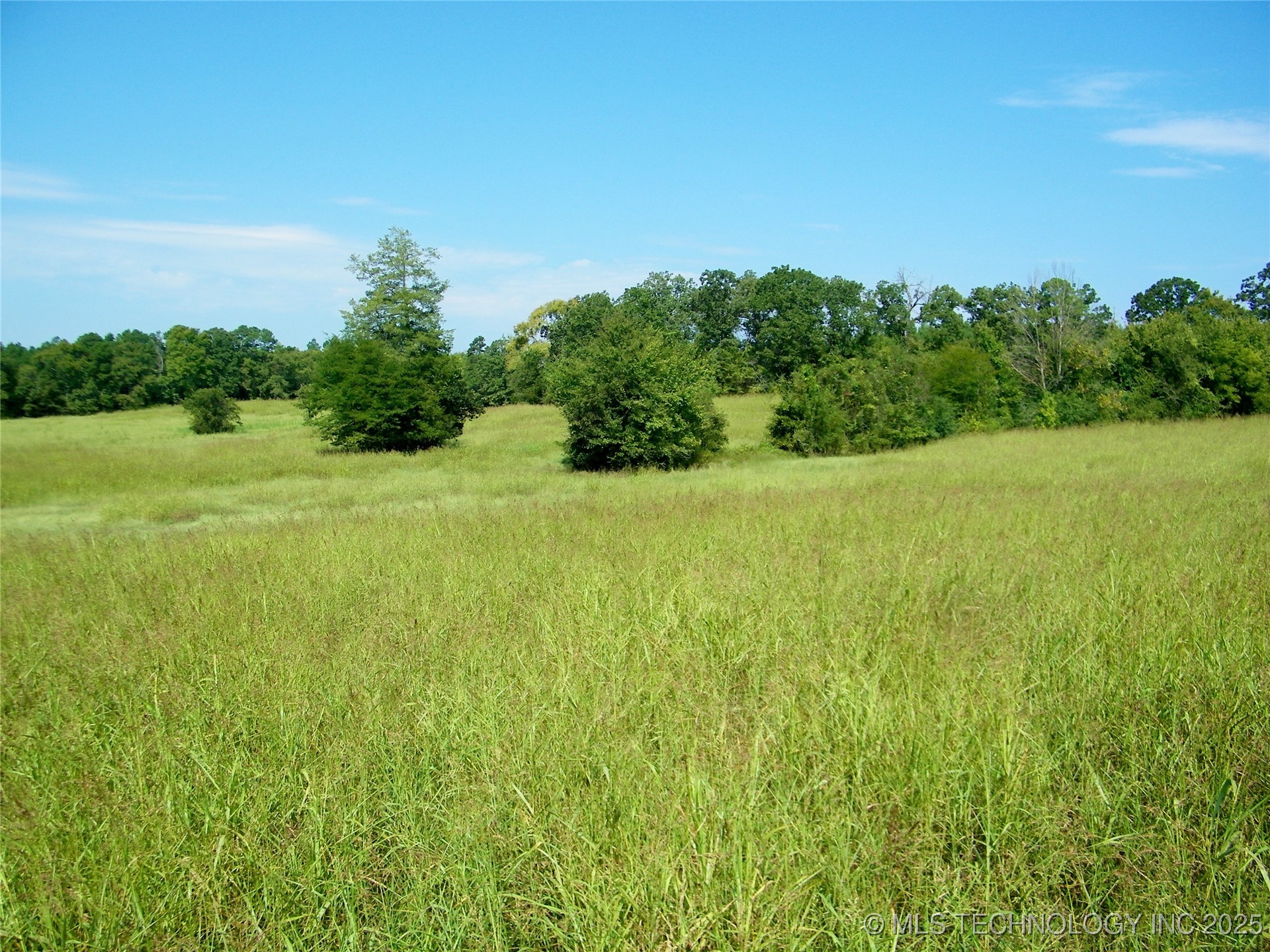 901 Sycamore Loop Property Photo 32