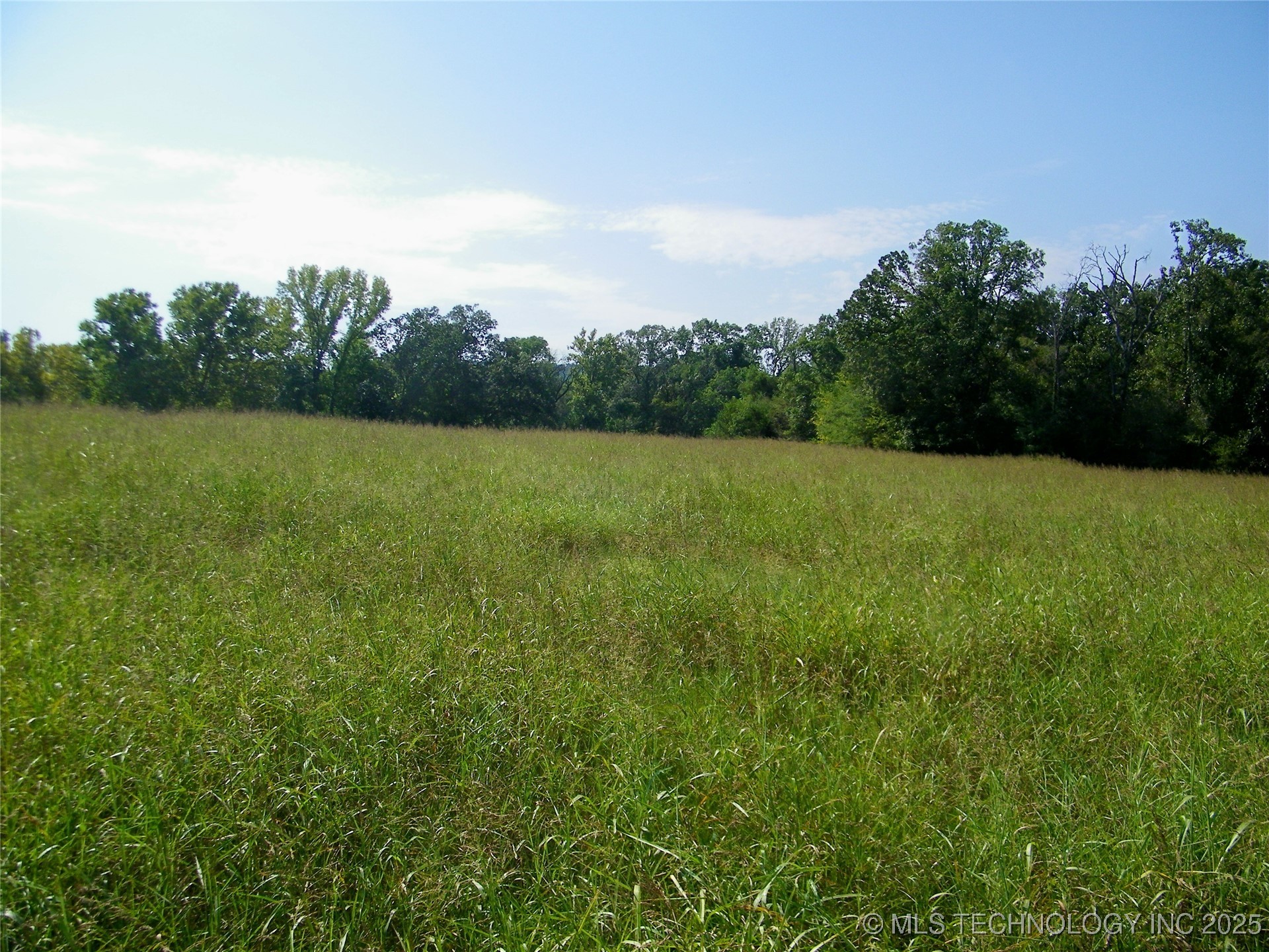 901 Sycamore Loop Property Photo 35