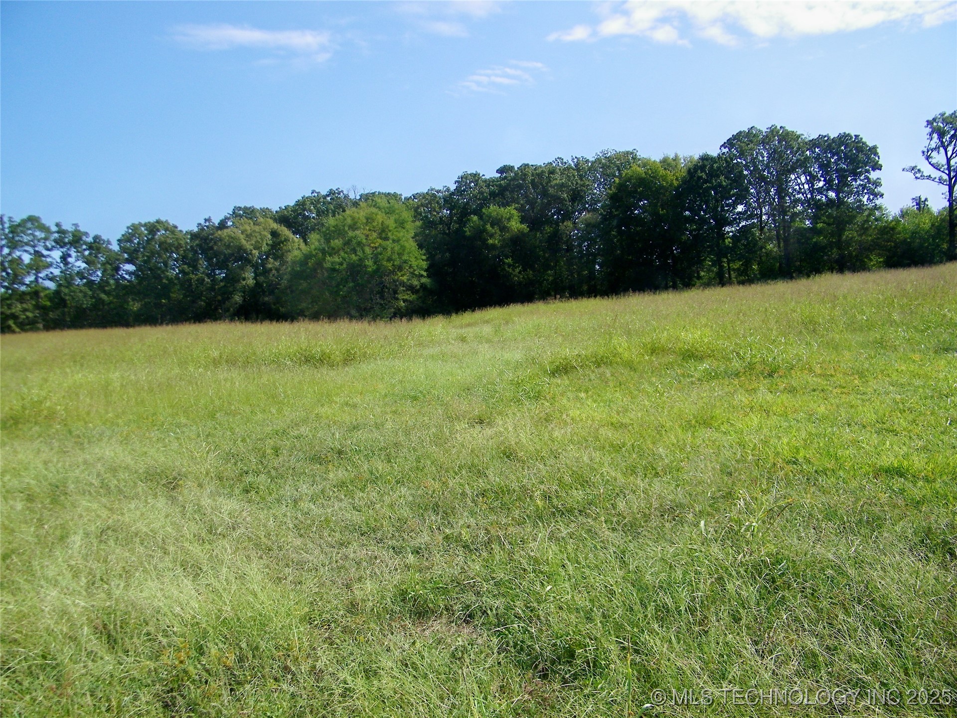 901 Sycamore Loop Property Photo 39