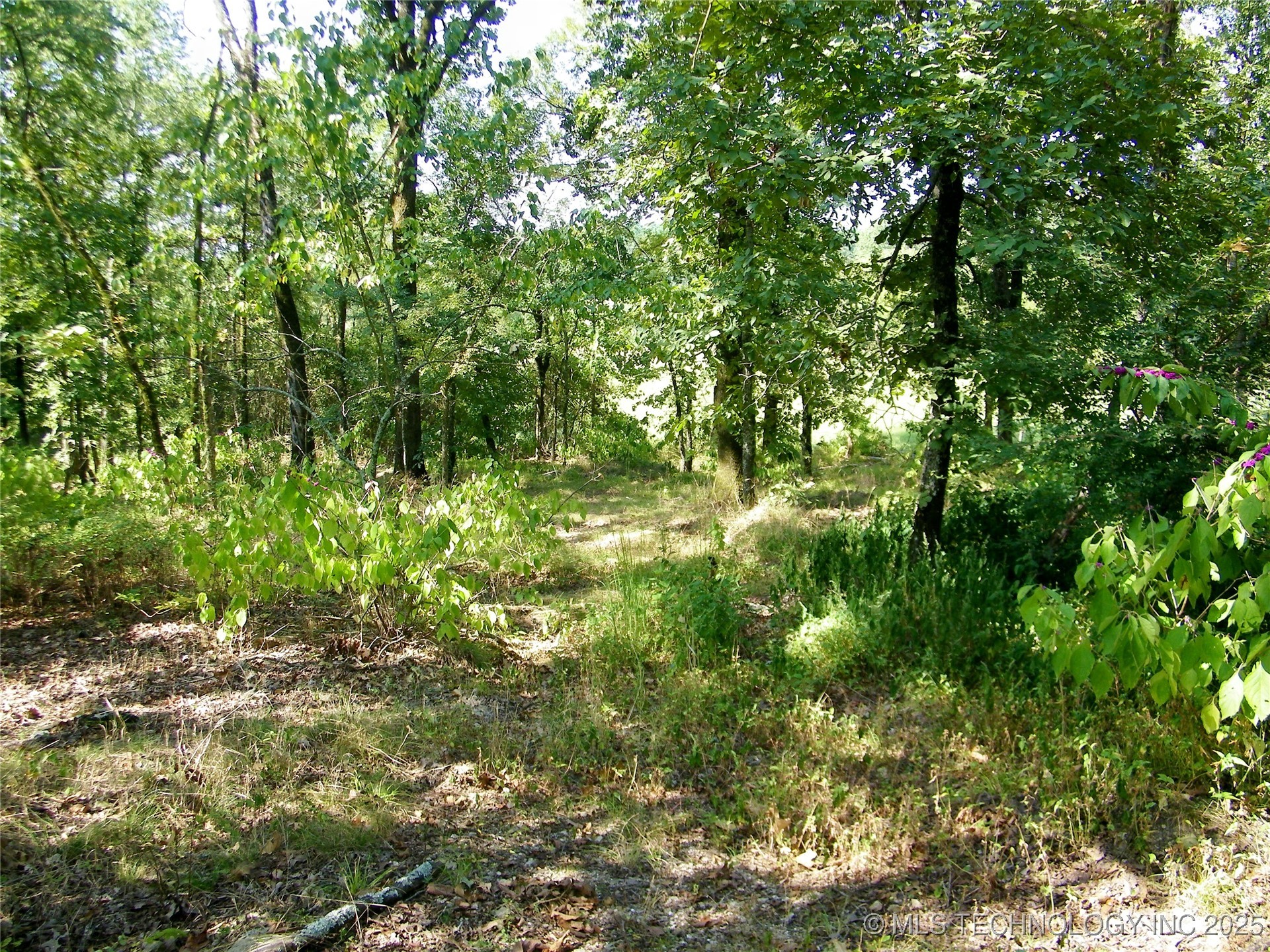 901 Sycamore Loop Property Photo 41