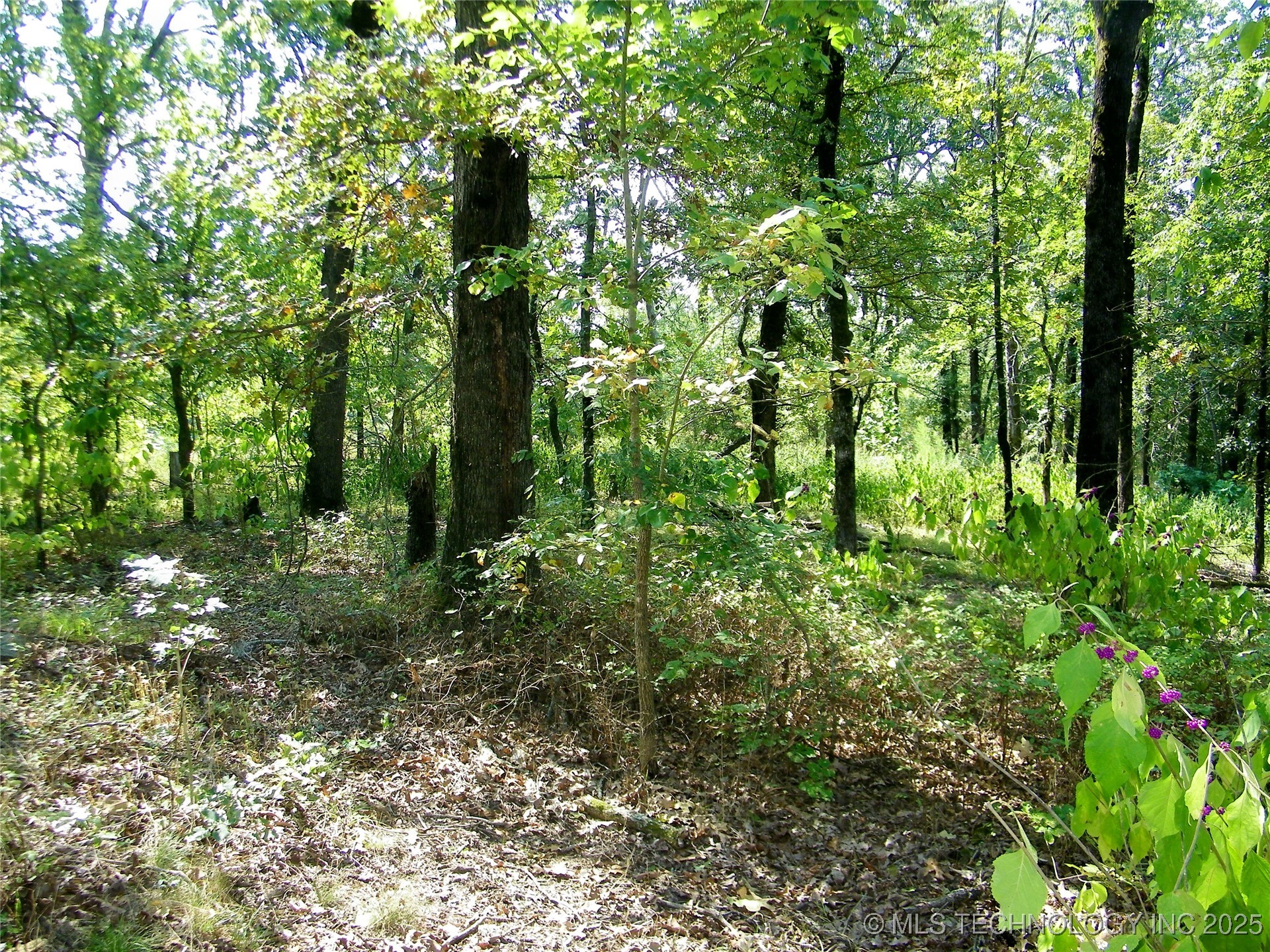 901 Sycamore Loop Property Photo 42