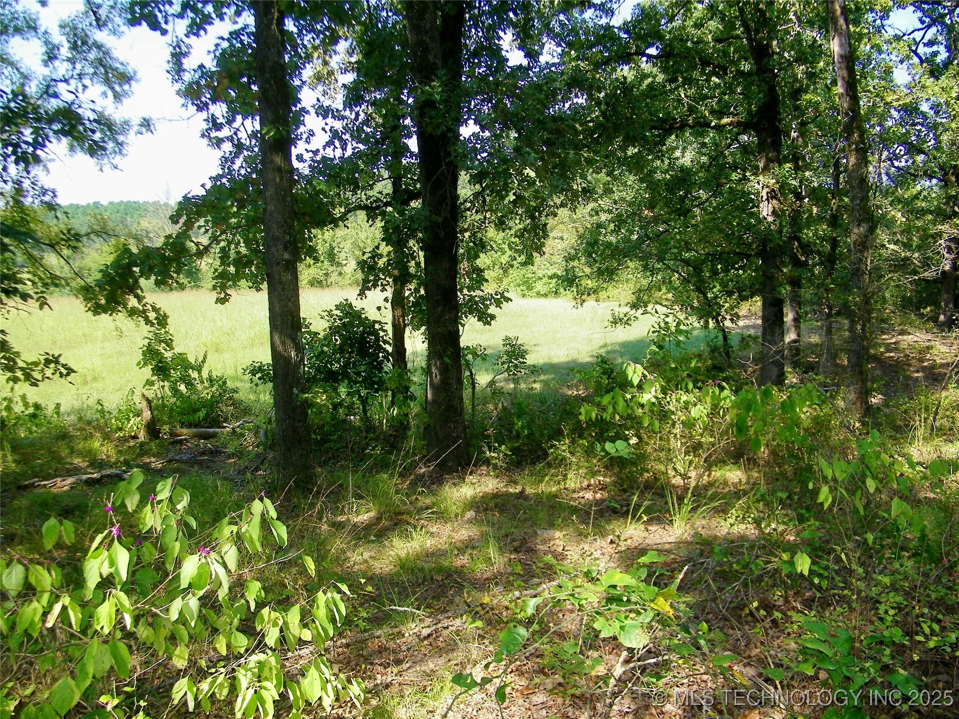 901 Sycamore Loop Property Photo 44