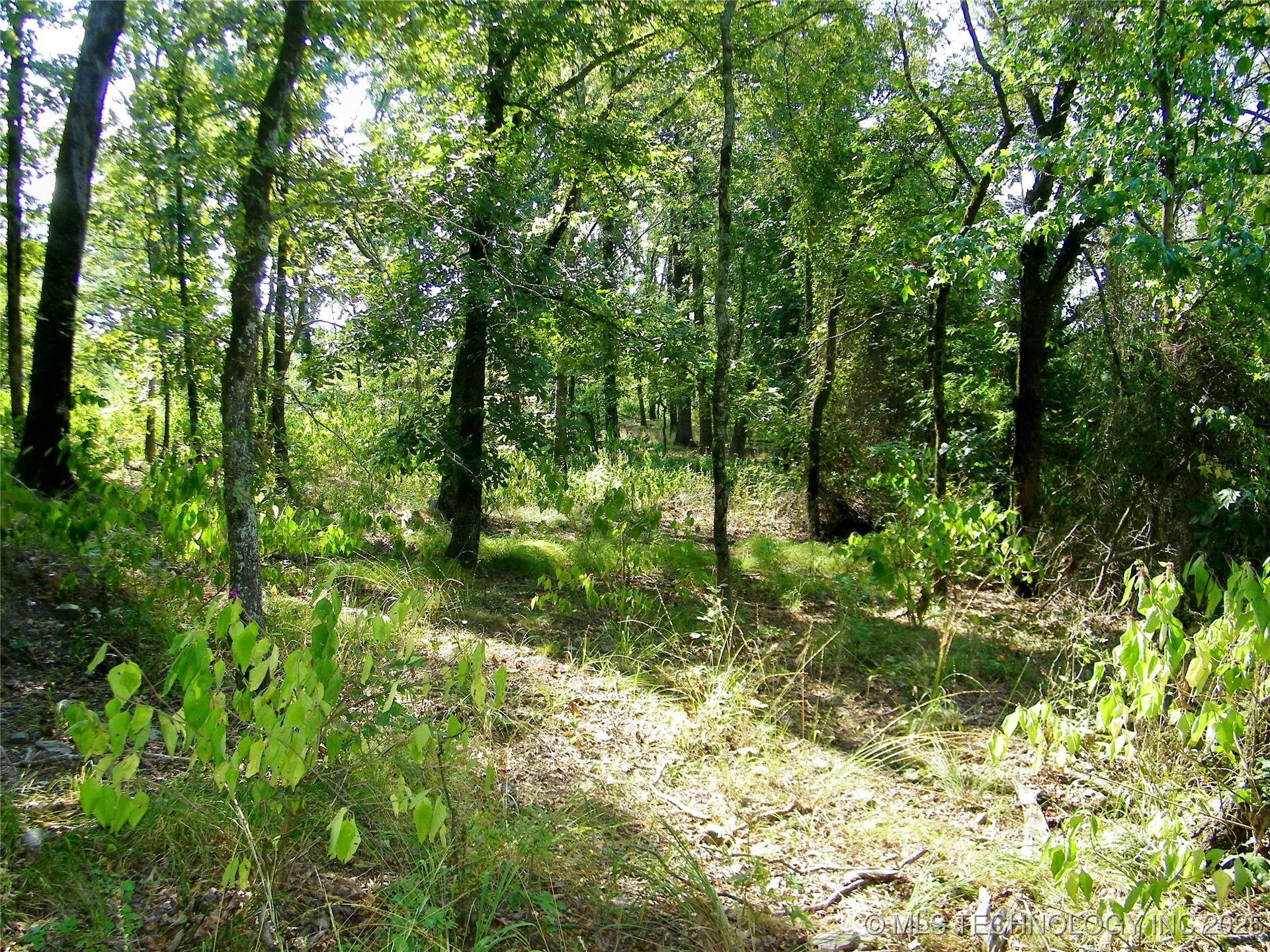 901 Sycamore Loop Property Photo 45