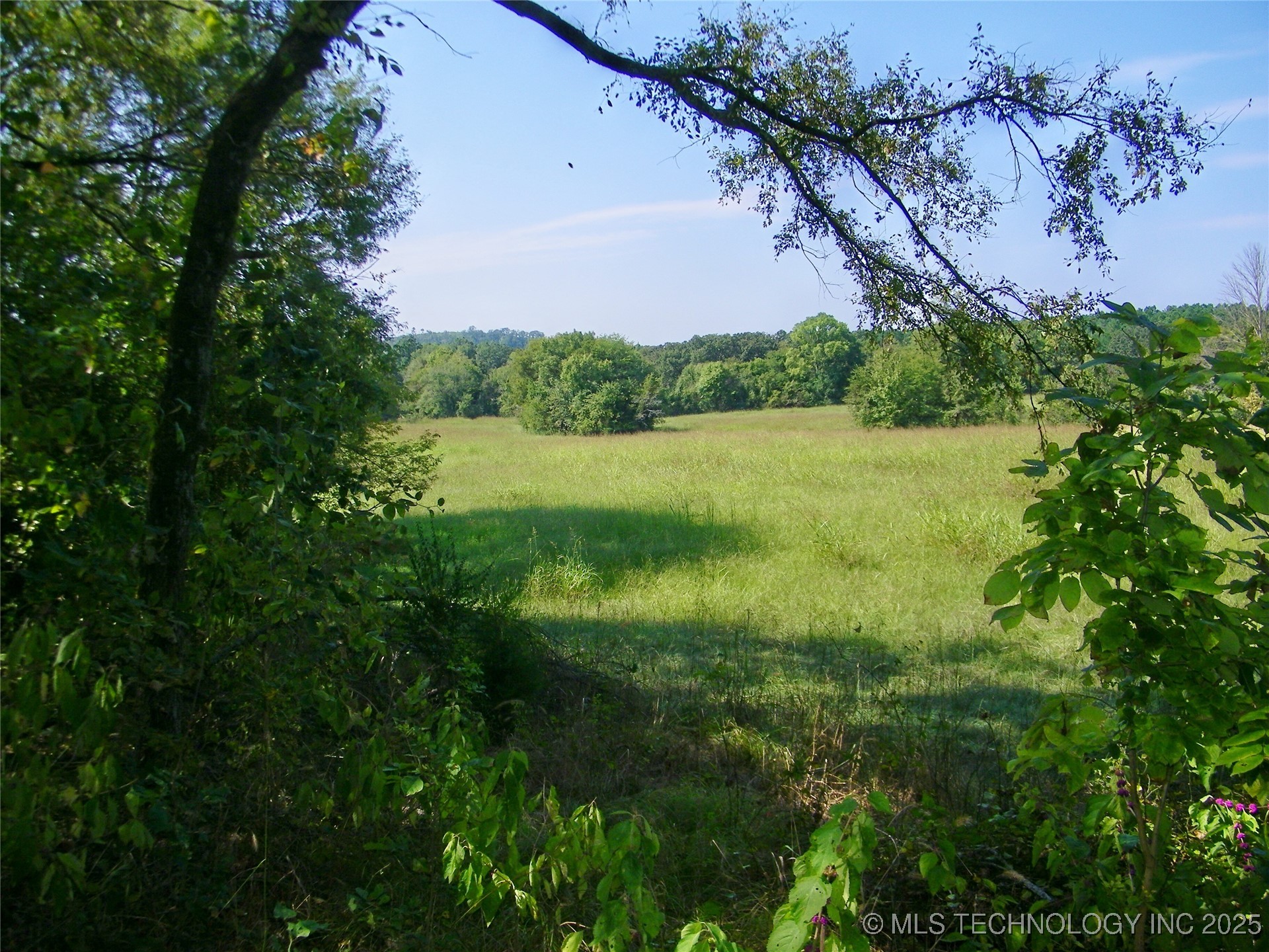 901 Sycamore Loop Property Photo 46