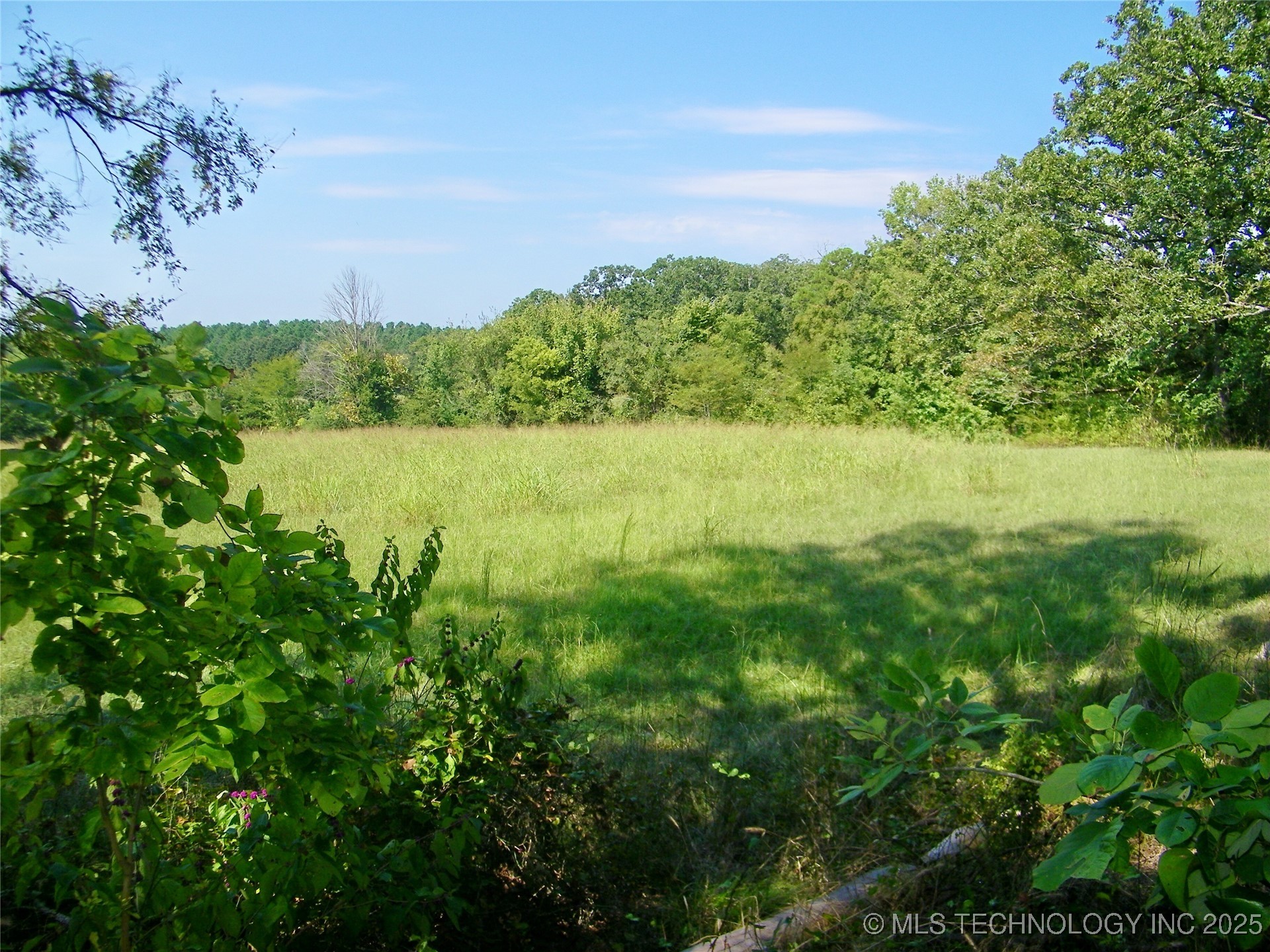 901 Sycamore Loop Property Photo 47