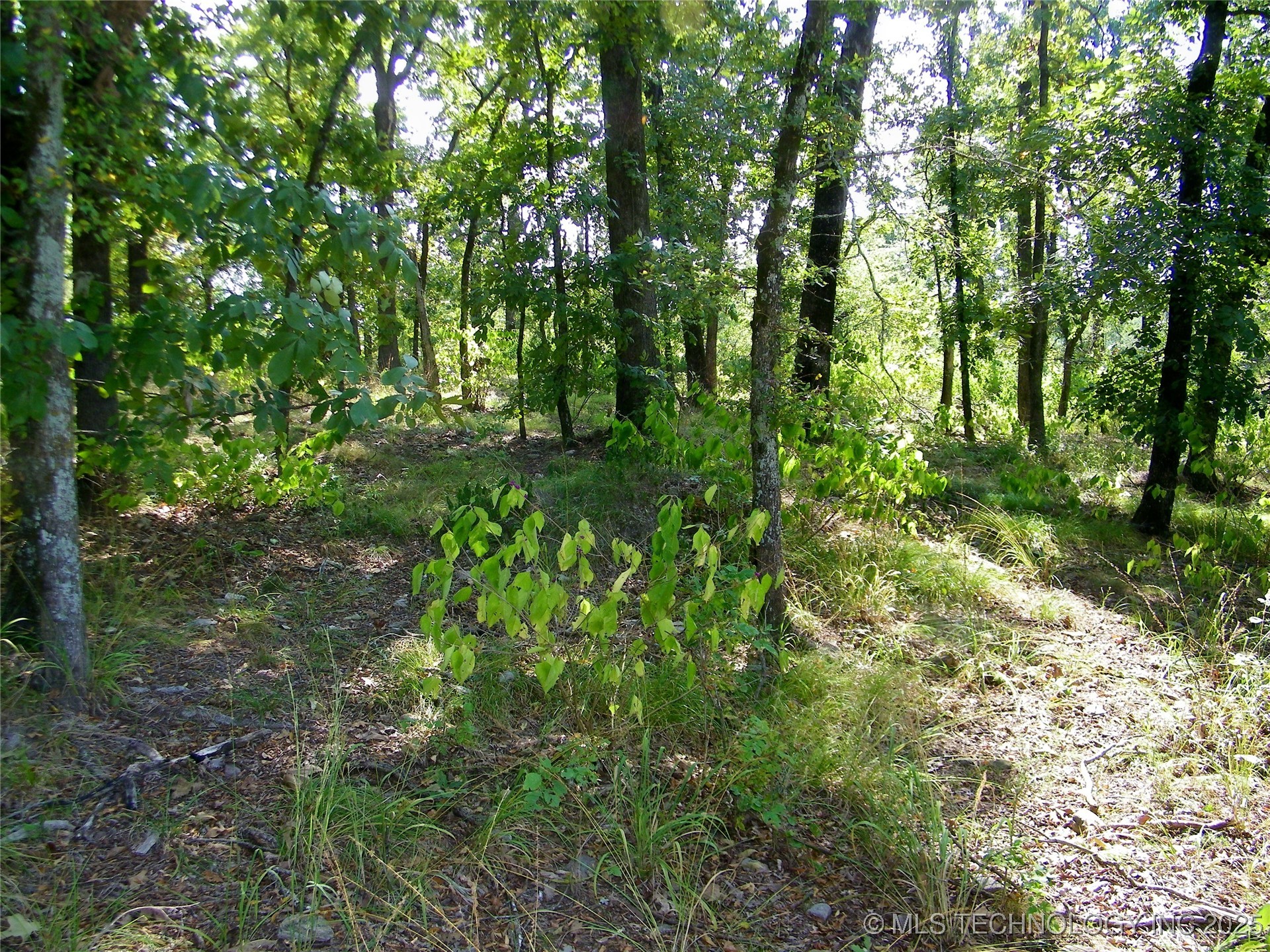 901 Sycamore Loop Property Photo 48