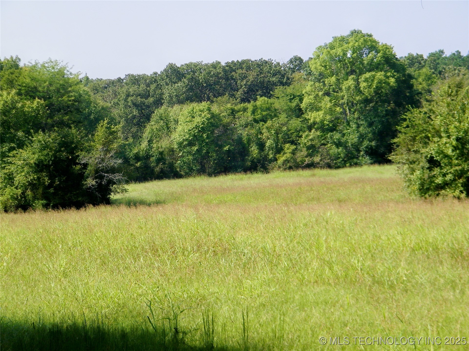 901 Sycamore Loop Property Photo 49