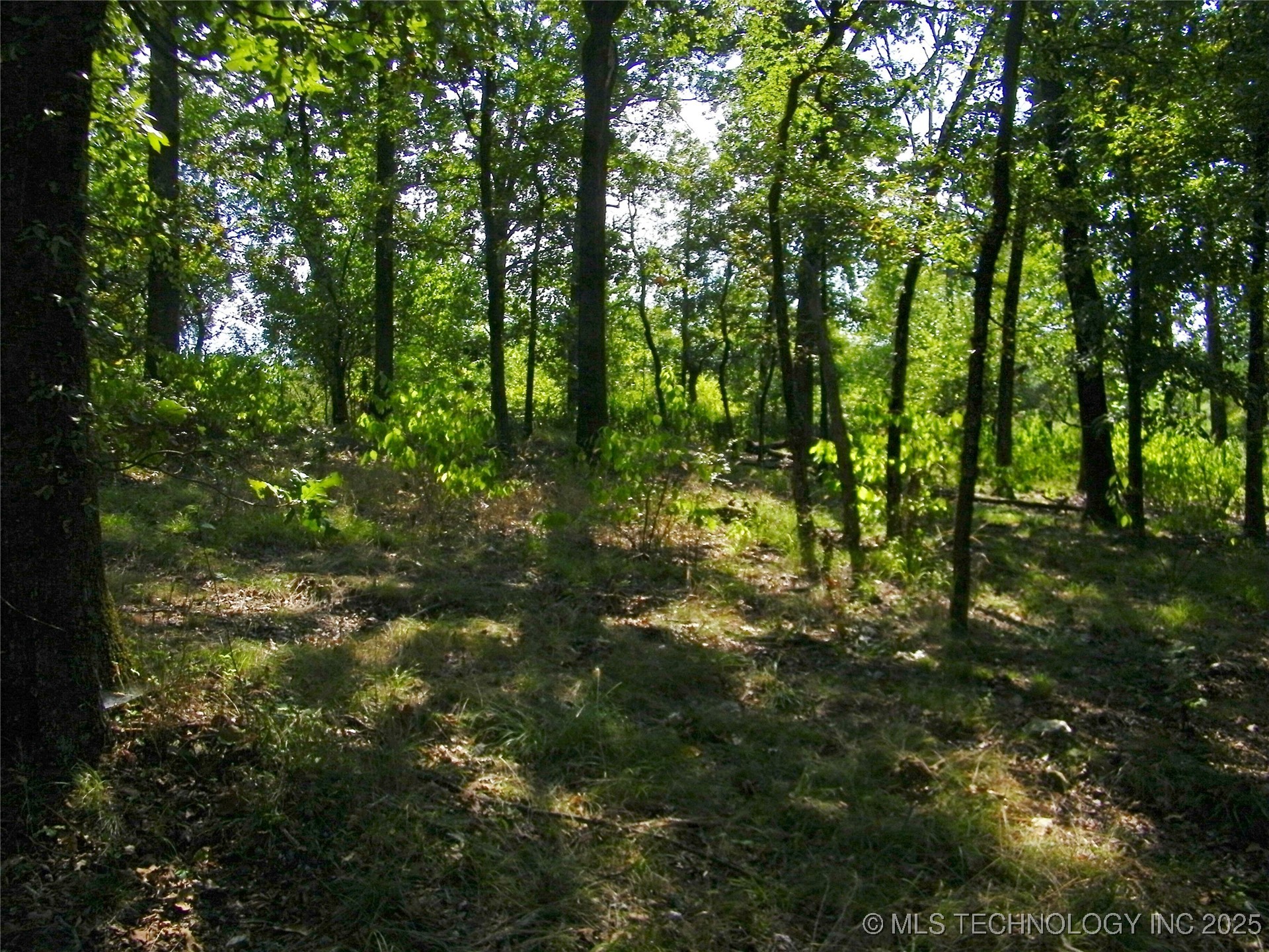 901 Sycamore Loop Property Photo 50