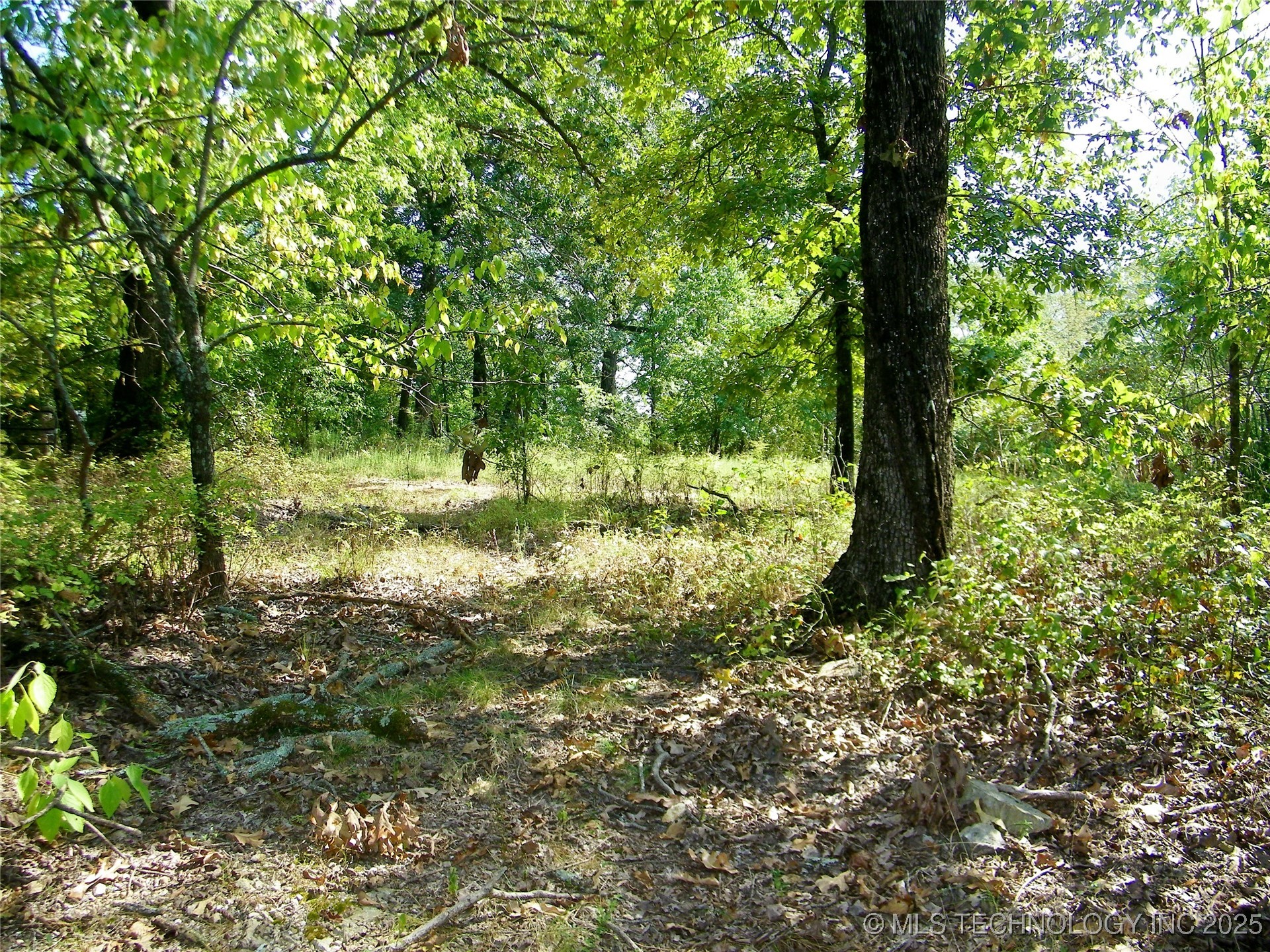 901 Sycamore Loop Property Photo 51