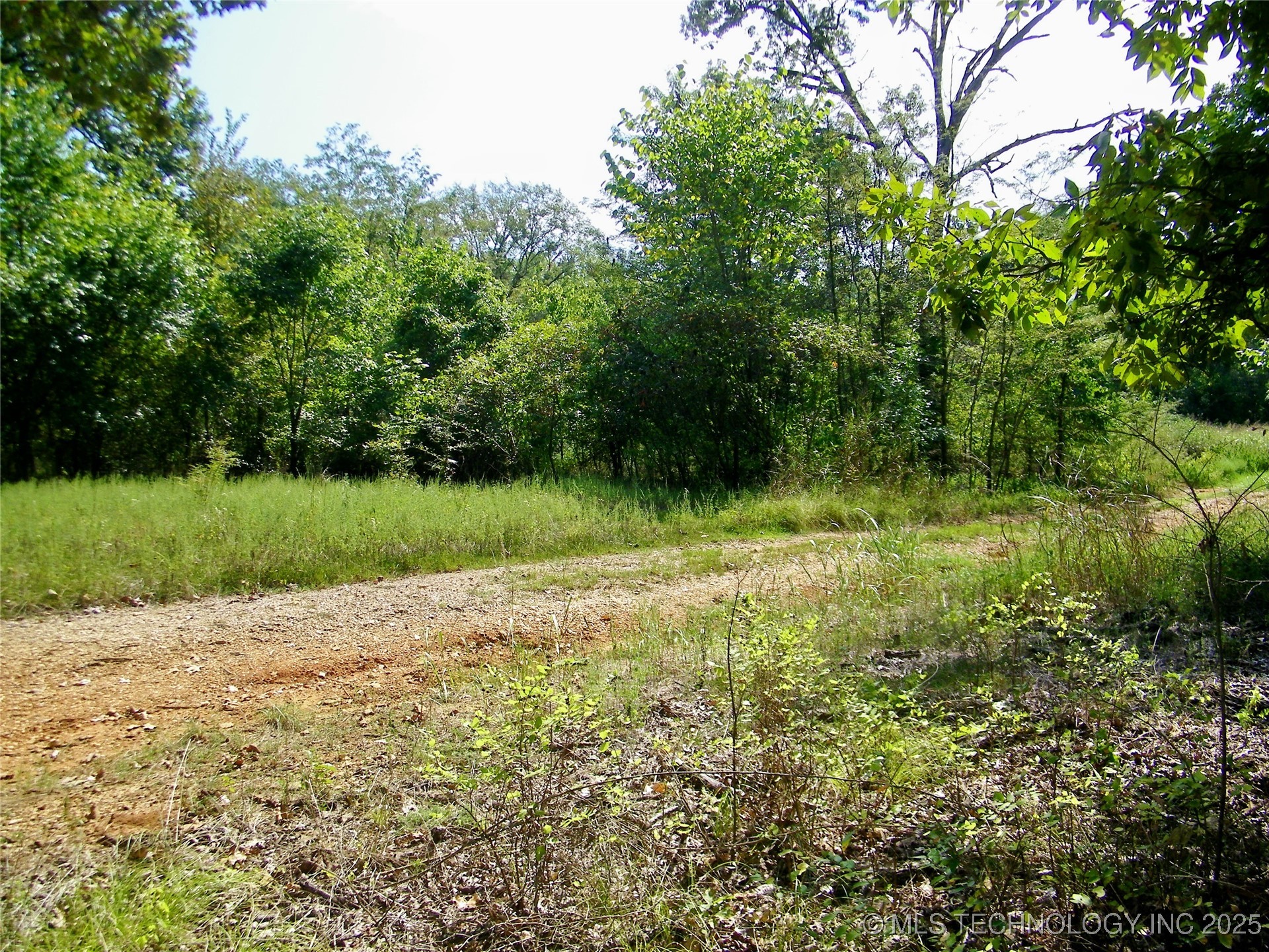 901 Sycamore Loop Property Photo 52