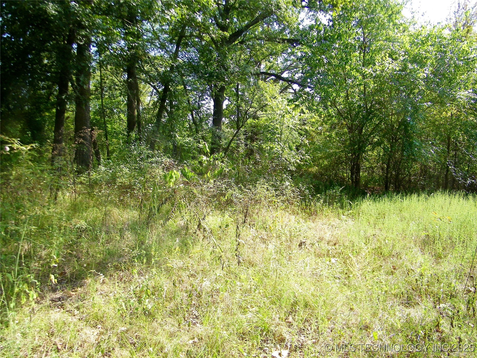 901 Sycamore Loop Property Photo 53