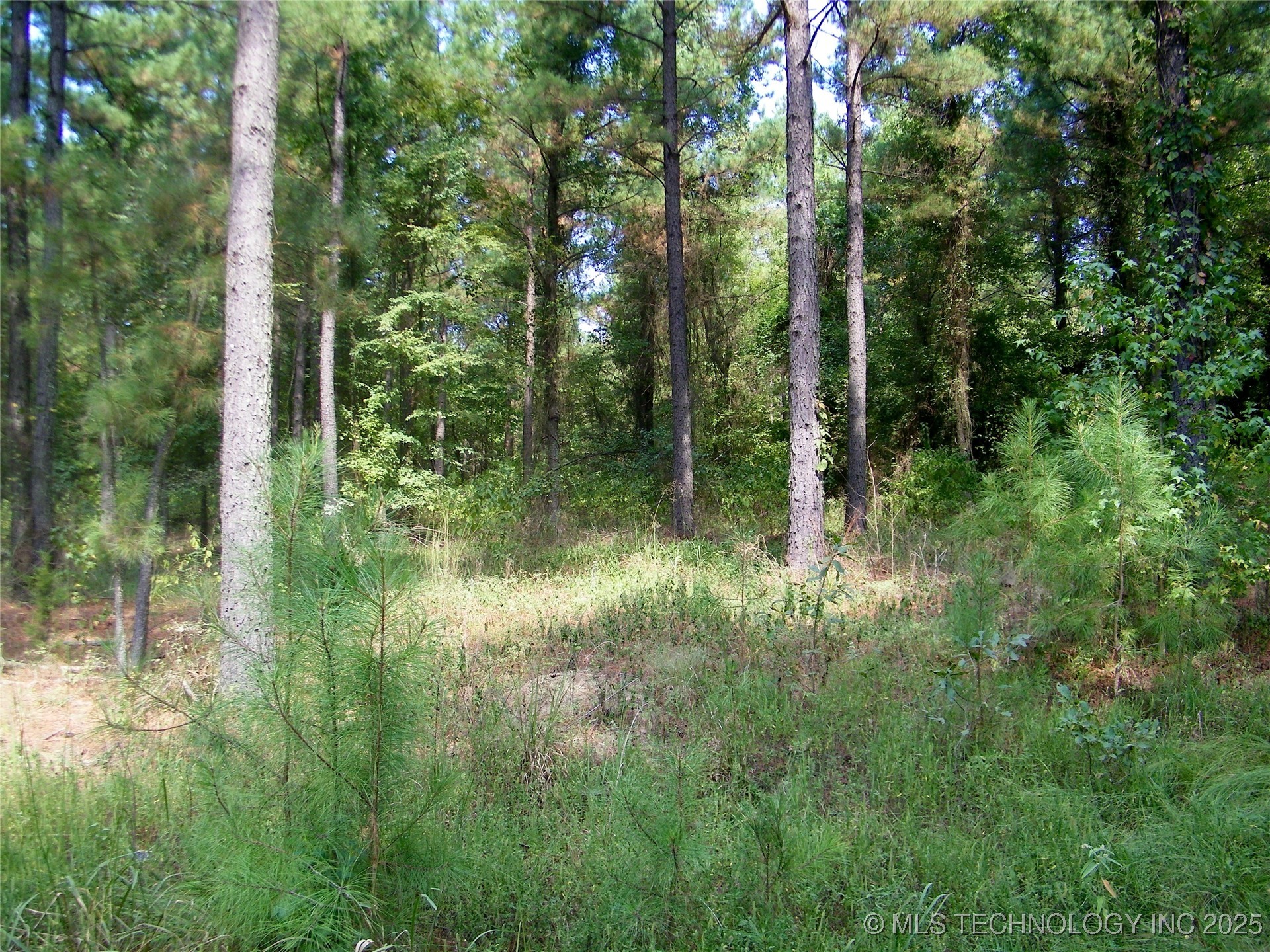 901 Sycamore Loop Property Photo 54