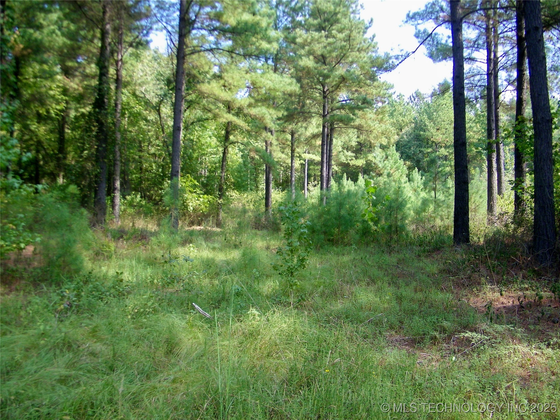 901 Sycamore Loop Property Photo 55