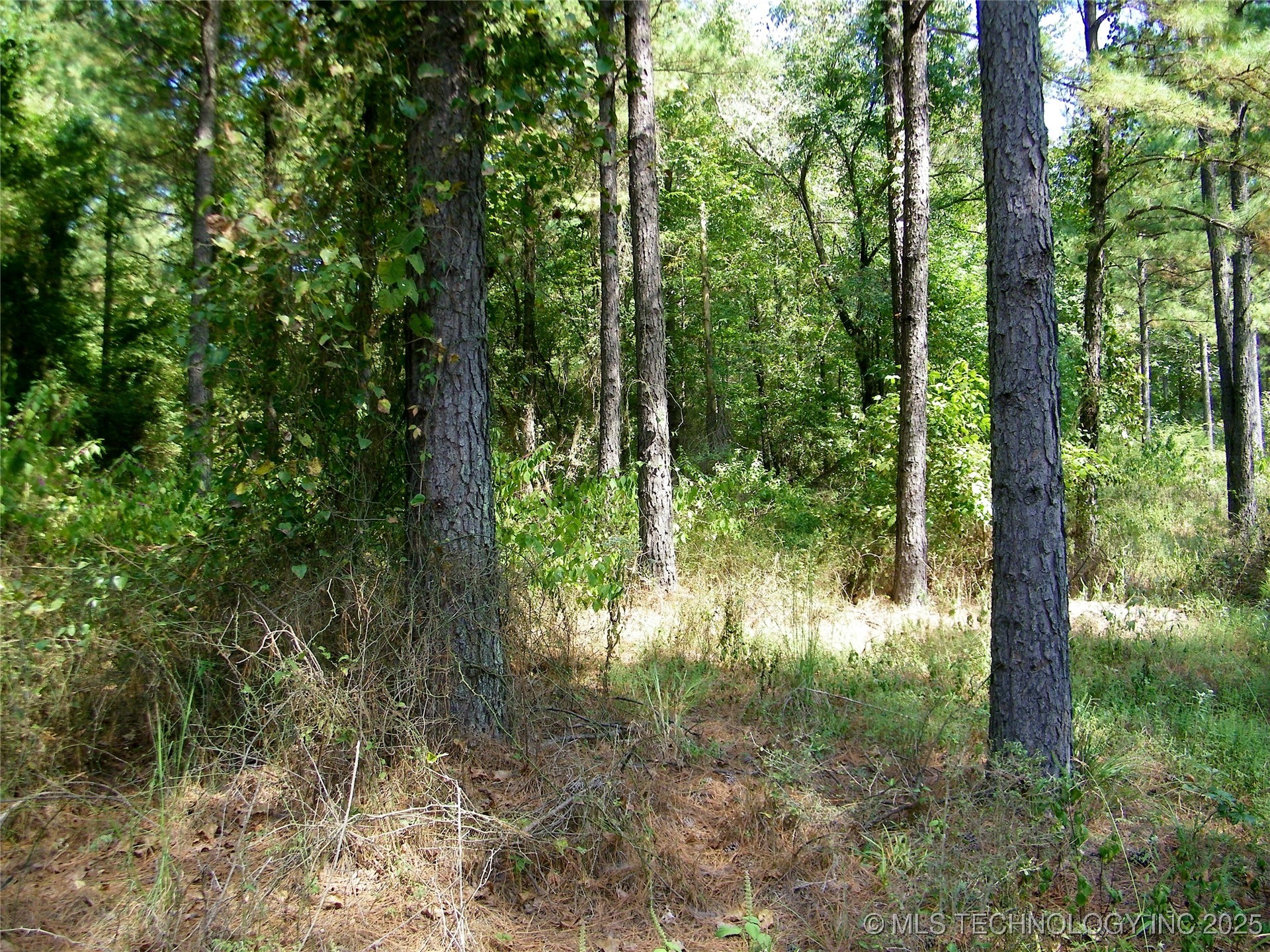 901 Sycamore Loop Property Photo 57